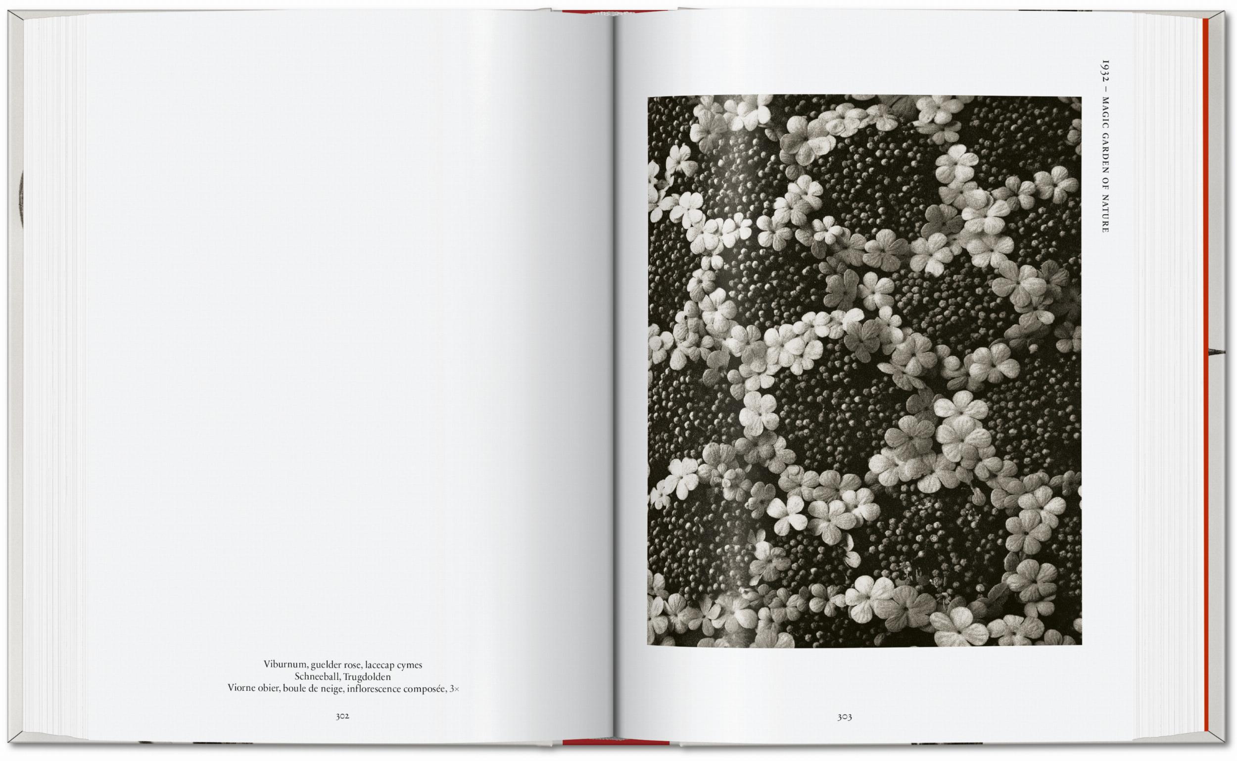 Karl Blossfeldt. The Complete Published Work. 45th Ed.