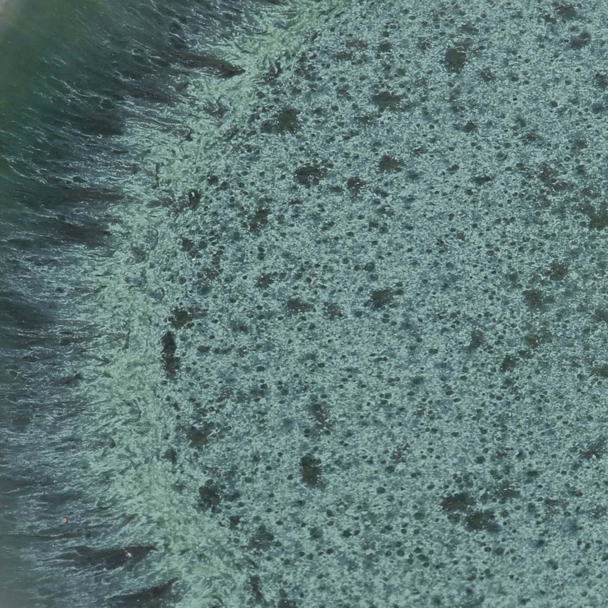 Aqua Piatto da insalata Blu ø22cm