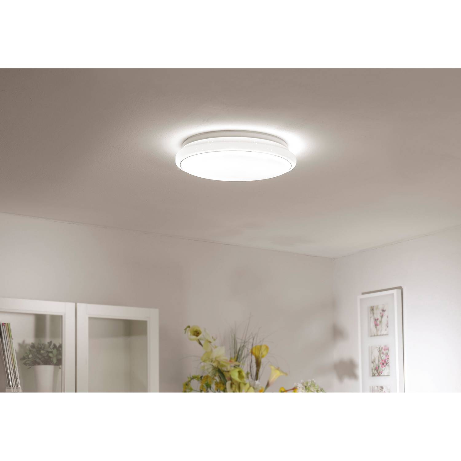 LED Ceiling Light Jupiter 1-Light Plastic Steel