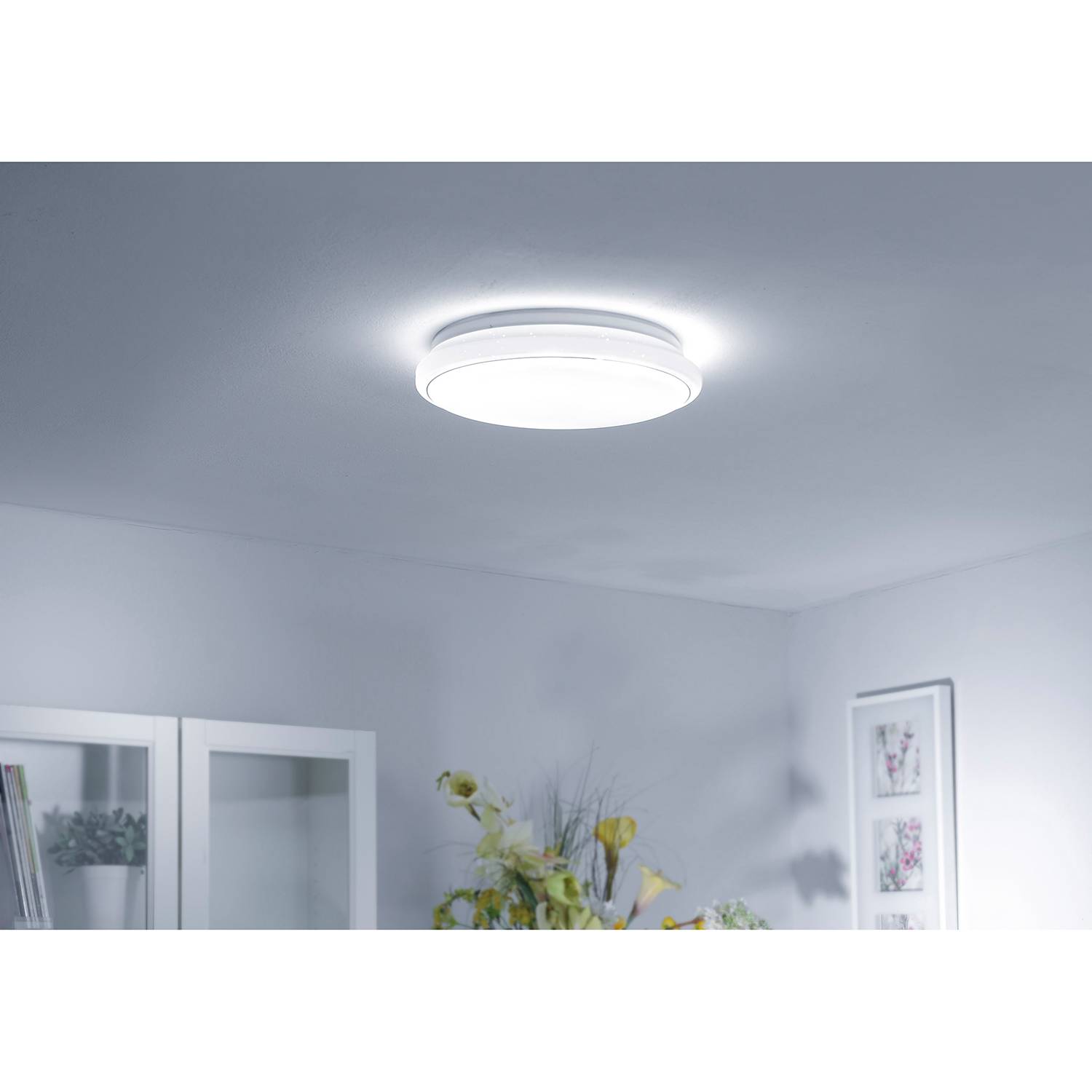 LED Ceiling Light Jupiter 1-Light Plastic Steel