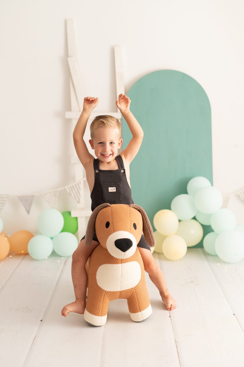 Dog Plush Cotton Brown