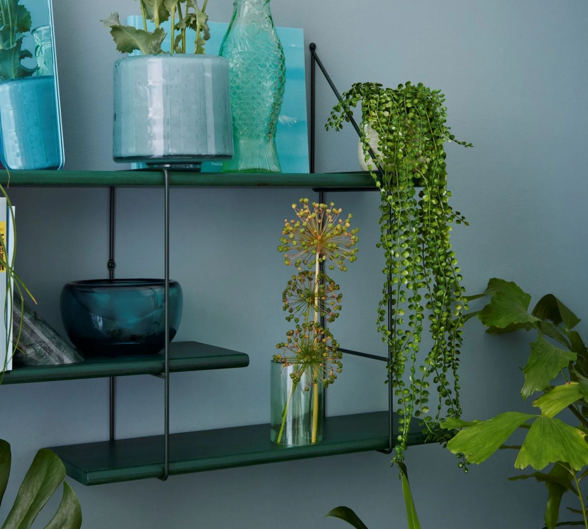 Shrink Regal Buchenholz Stahl Grün