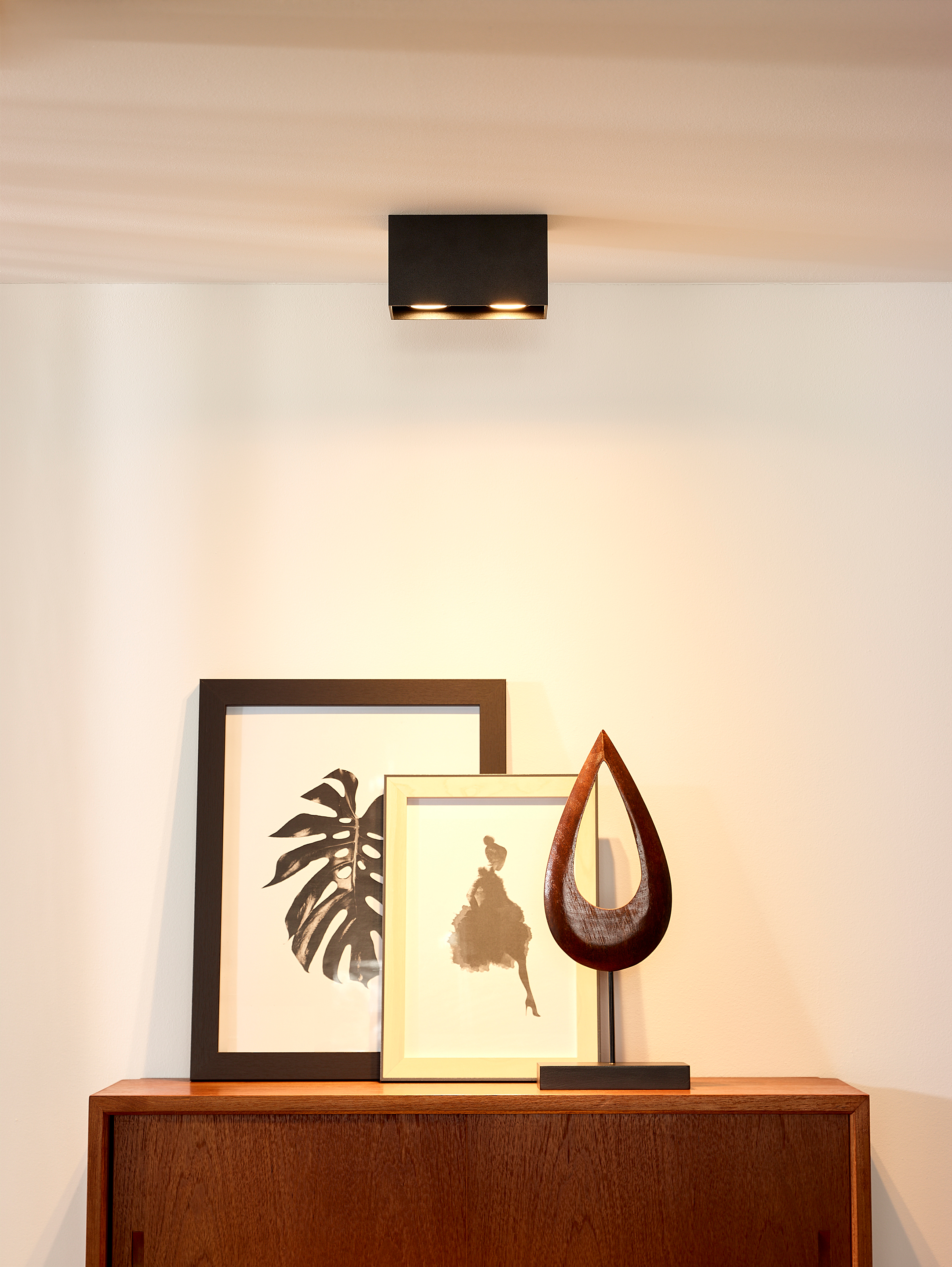 Bodi Type B Ceiling Spotlight Aluminum Black