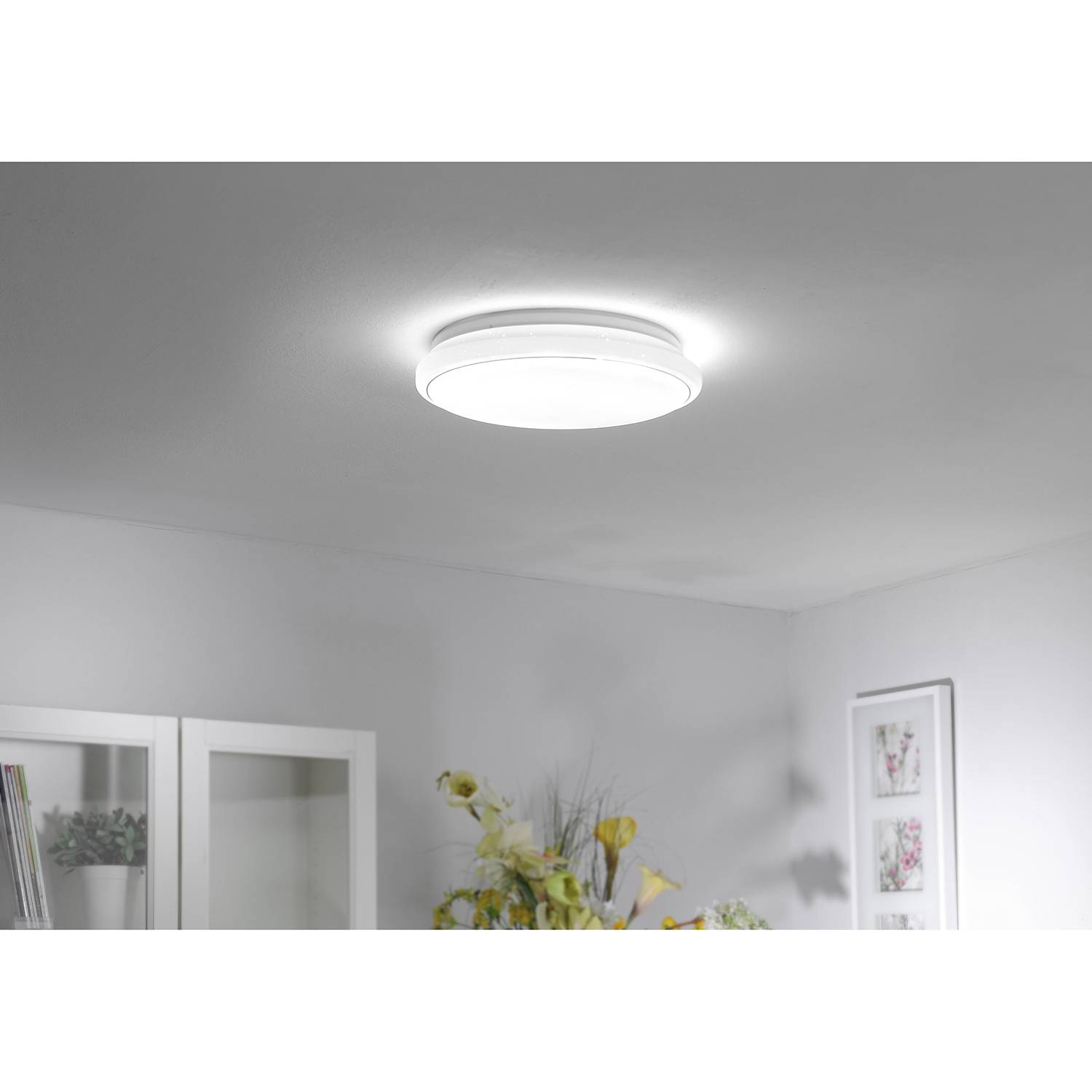 LED Ceiling Light Jupiter 1-Light Plastic Steel