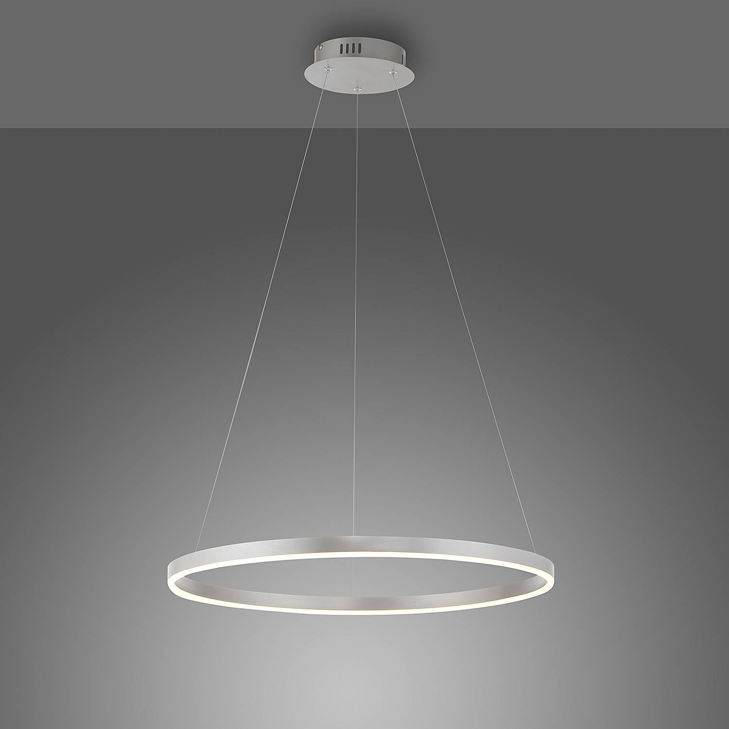 LED pendant luminaire Ritus Type B Aluminum Silver