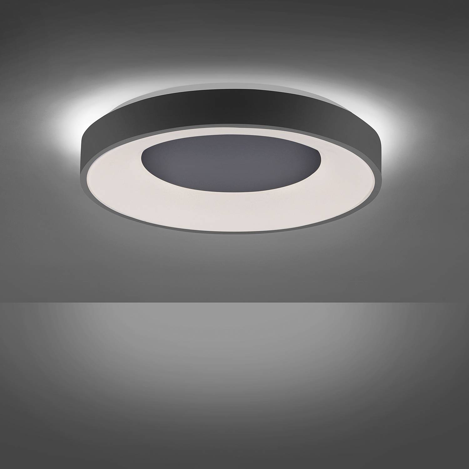 1-Flammig LED-Deckenleuchte Anika Schwarz