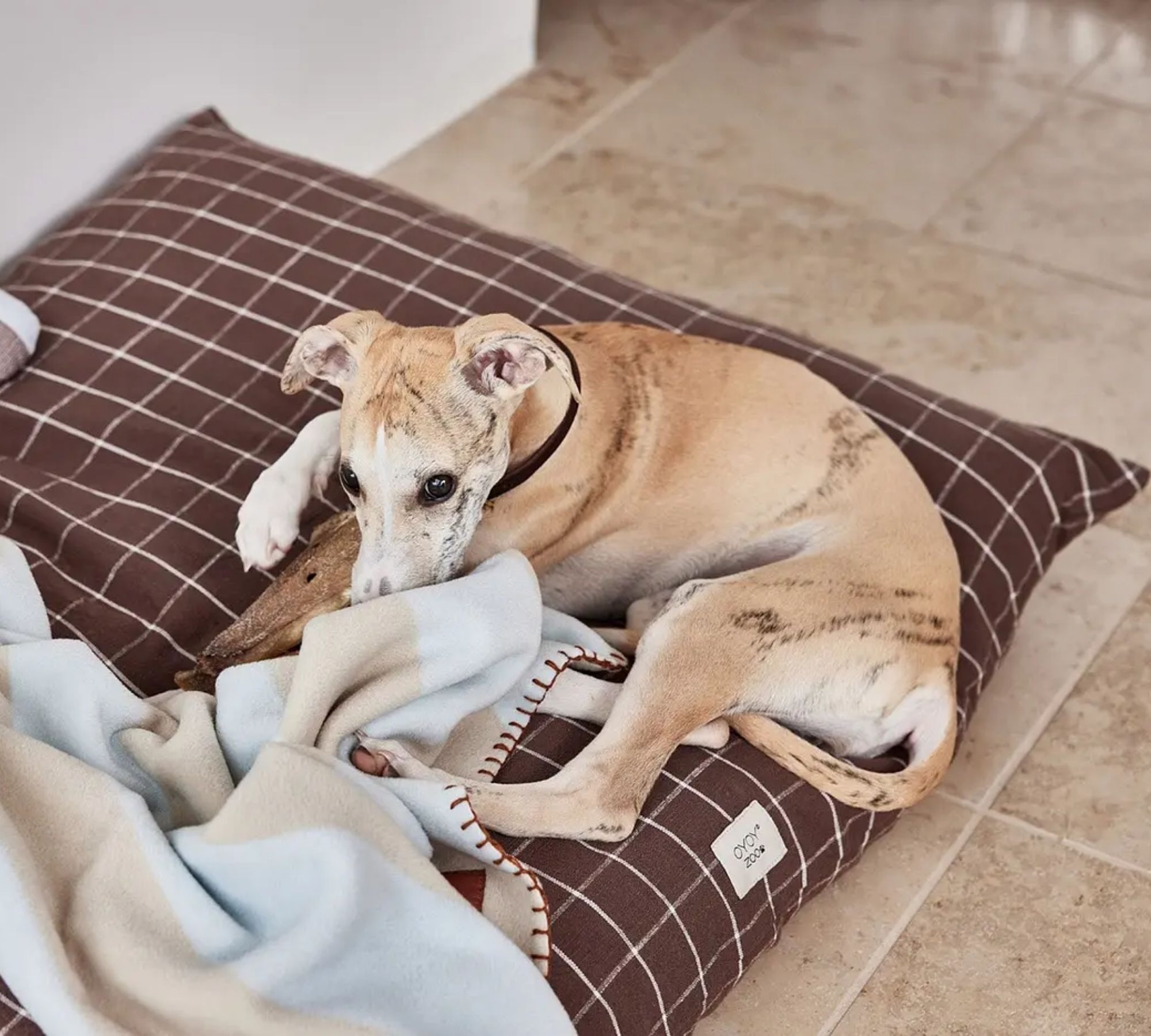 Kaya Hundedecke Groß Creme