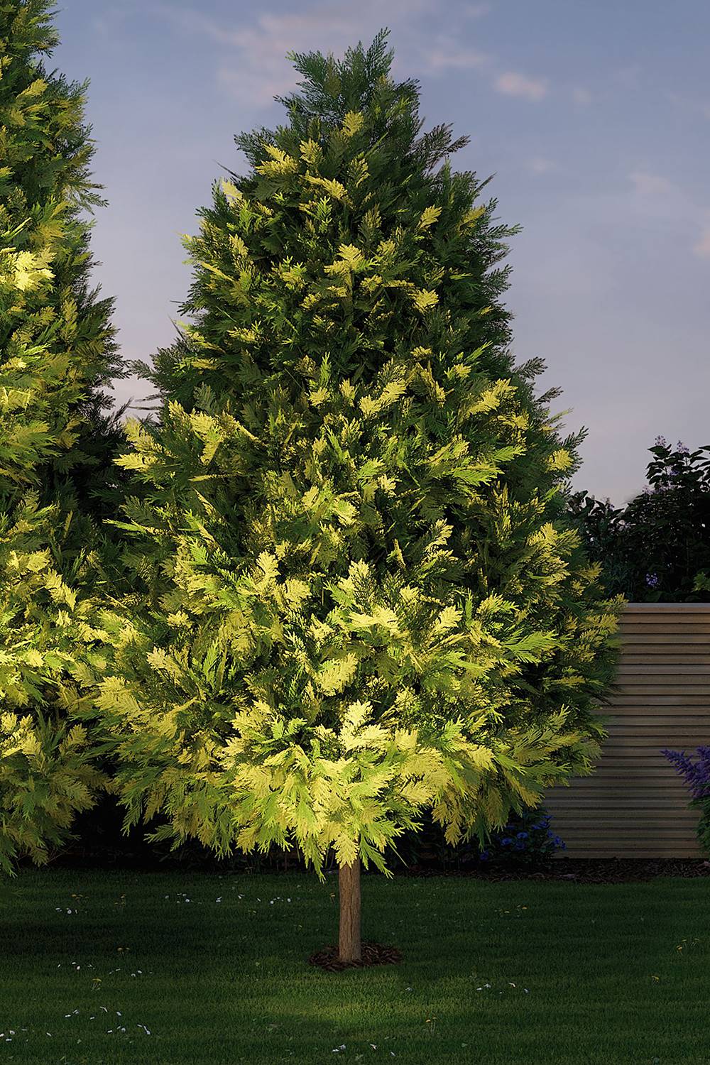 Recessed luminaire Plug & Shine Arma Silver