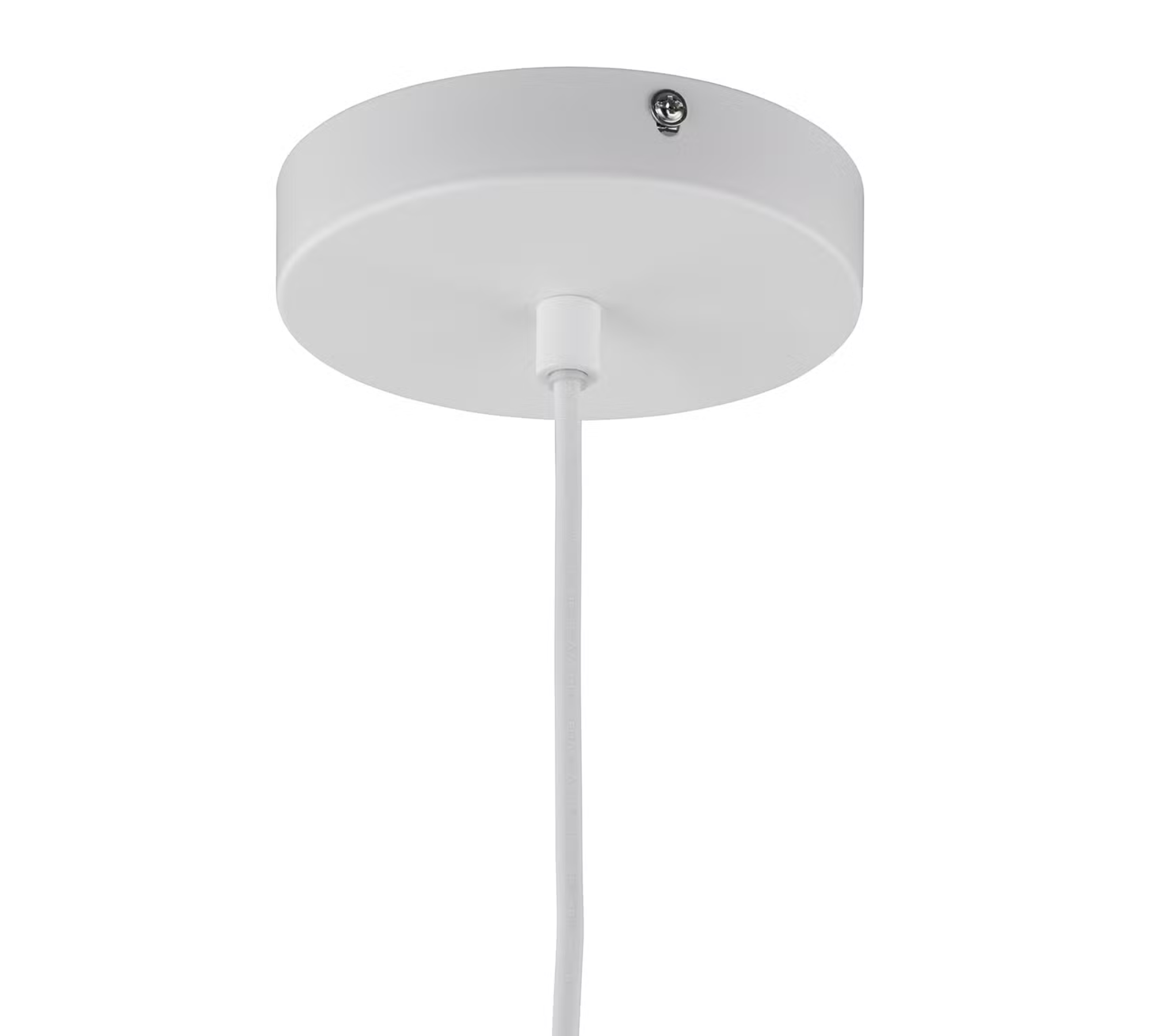 Pendant lamp natural fiber plant leaf