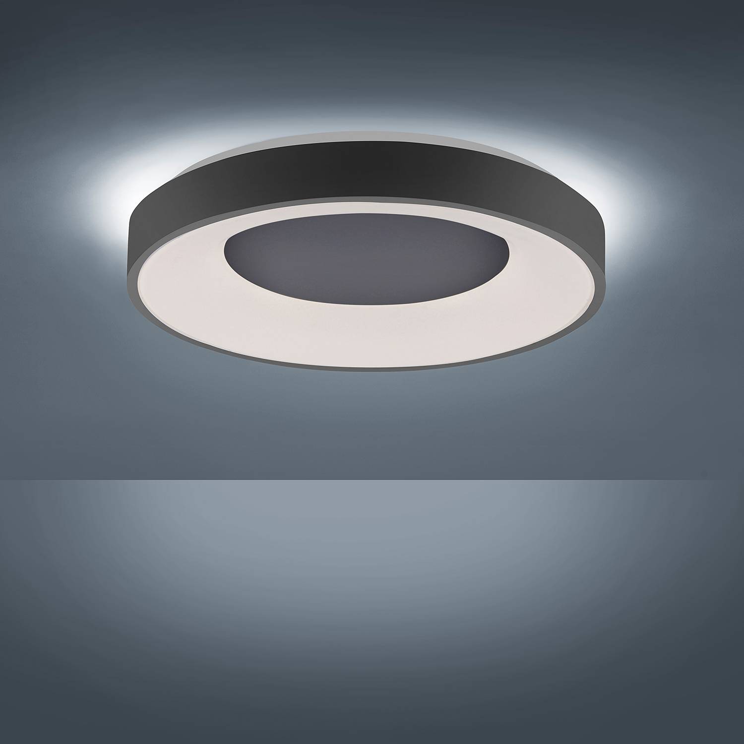 1-Flammig LED-Deckenleuchte Anika Schwarz