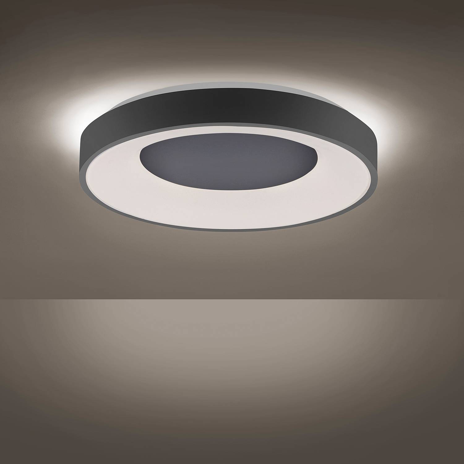 1-Flammig LED-Deckenleuchte Anika Schwarz