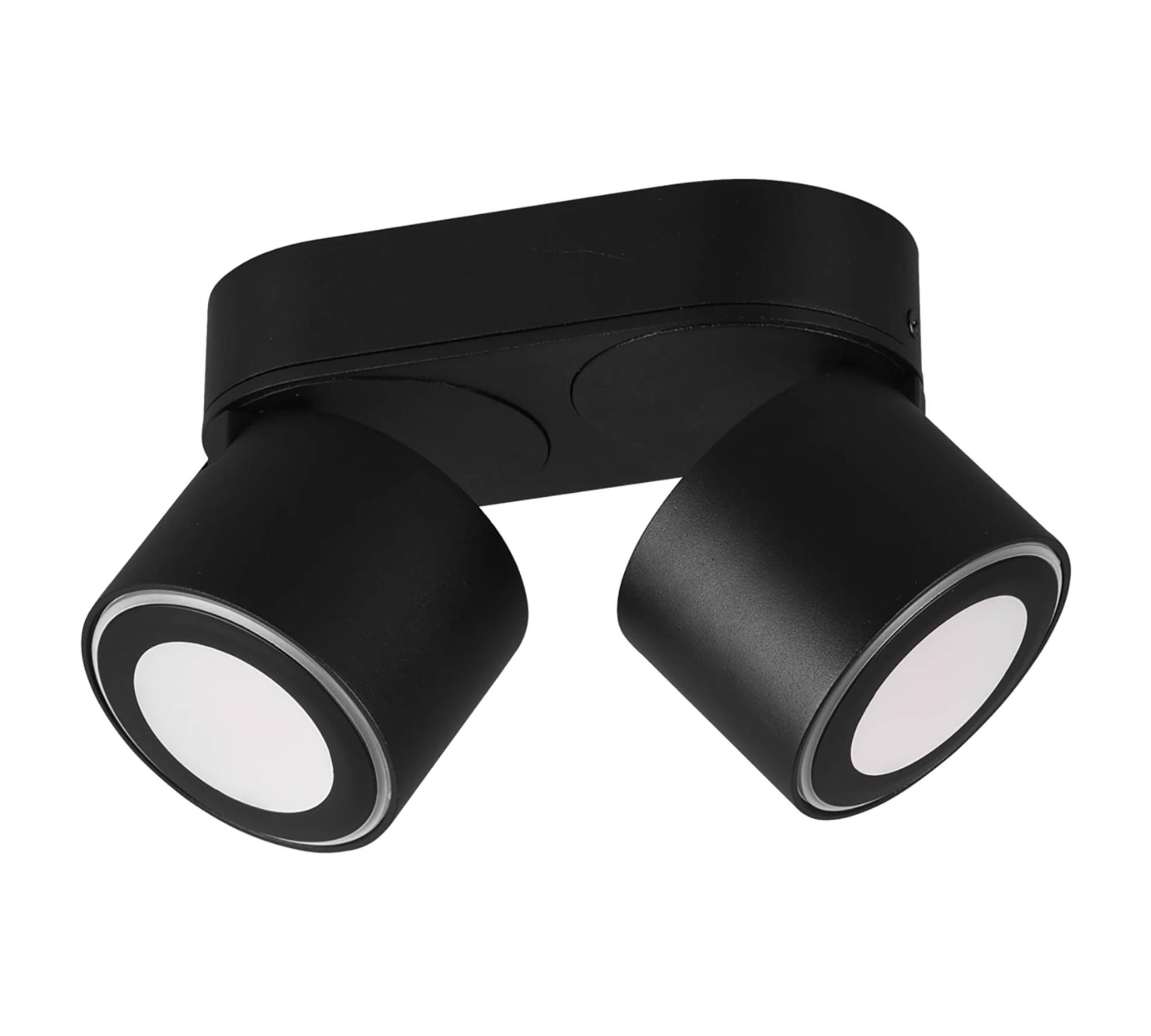 2-Flammige LED Deckenleuchte Aluminium Schwarz