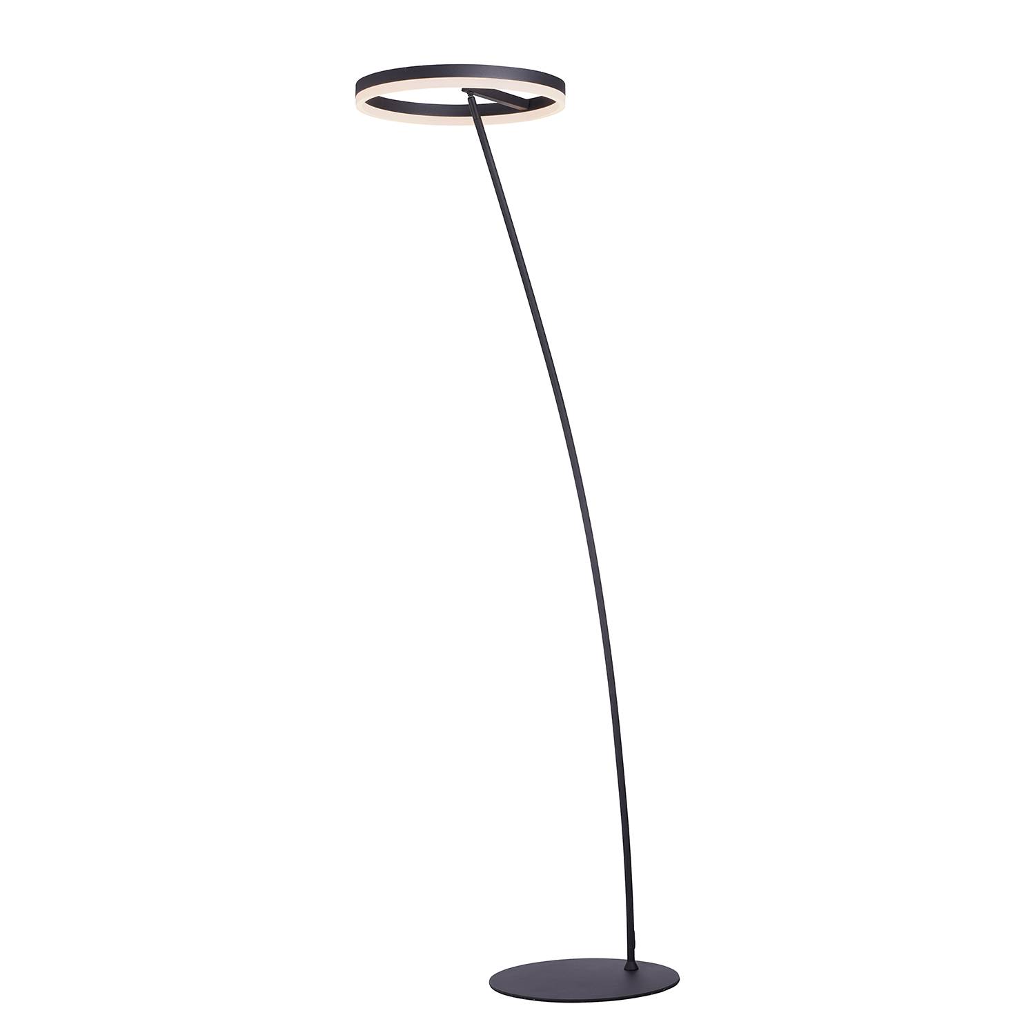 LED-Stehleuchte Titus Acrylglas Eisen