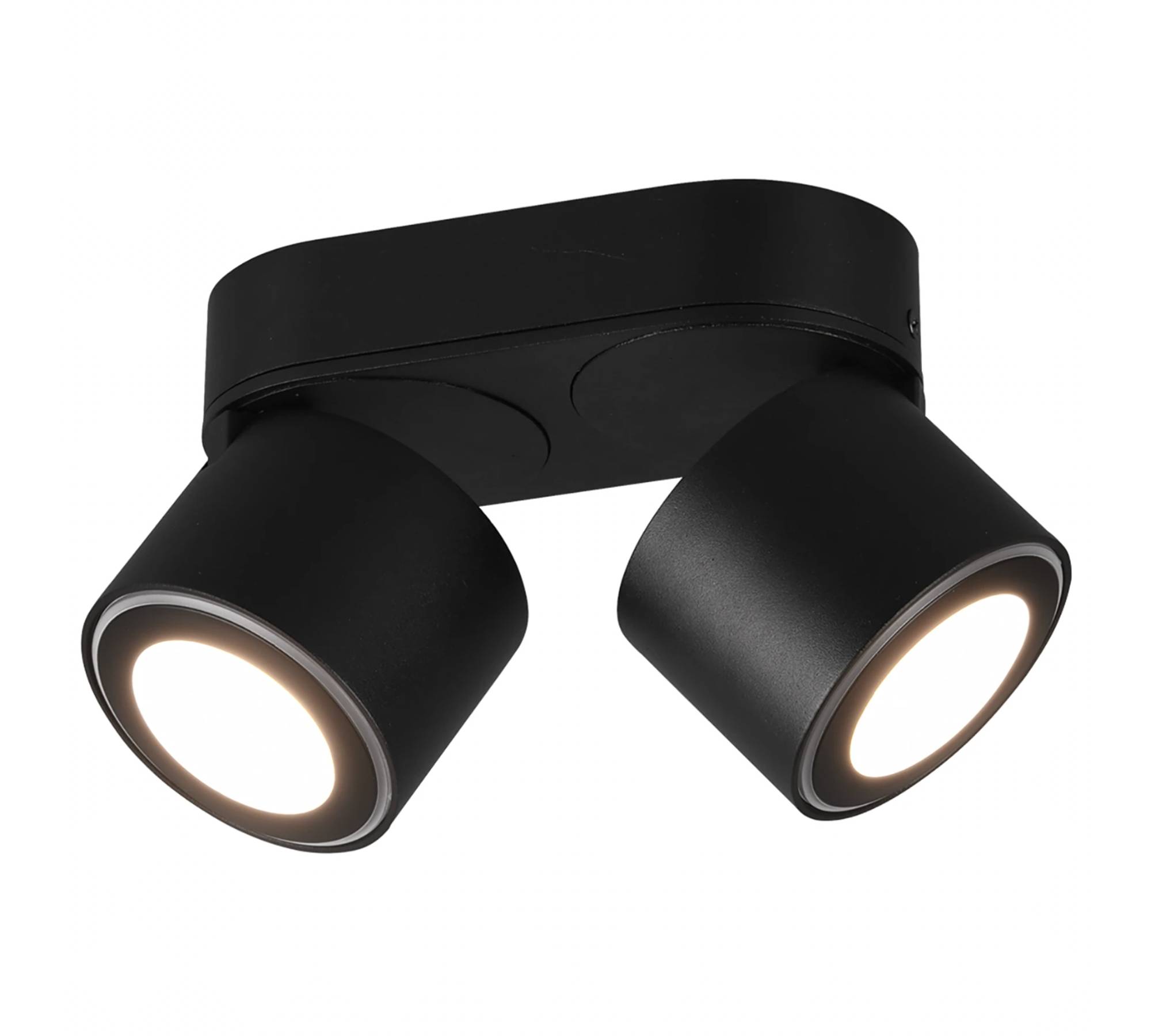 2-Flammige LED Deckenleuchte Aluminium Schwarz