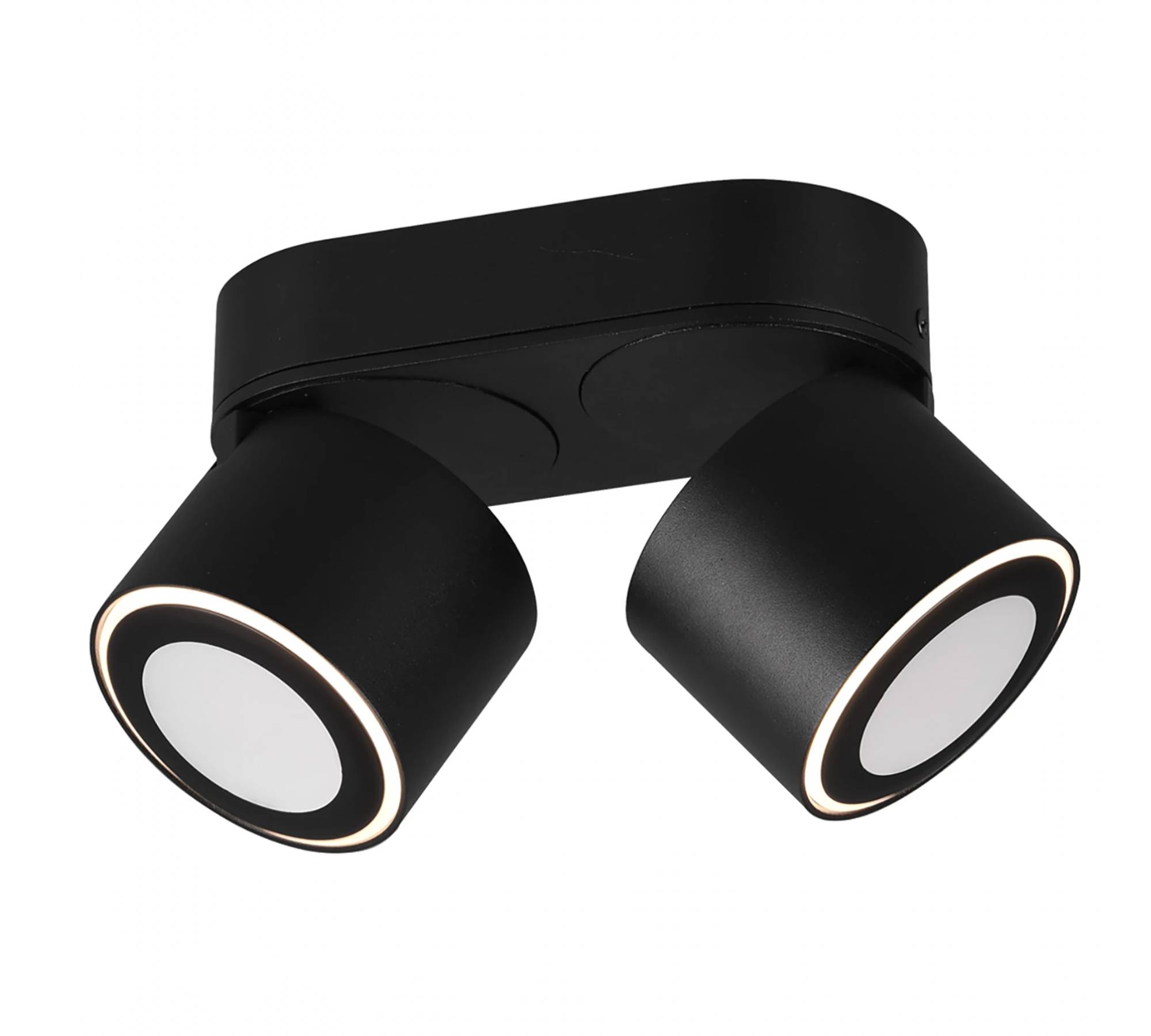 2-Flammige LED Deckenleuchte Aluminium Schwarz