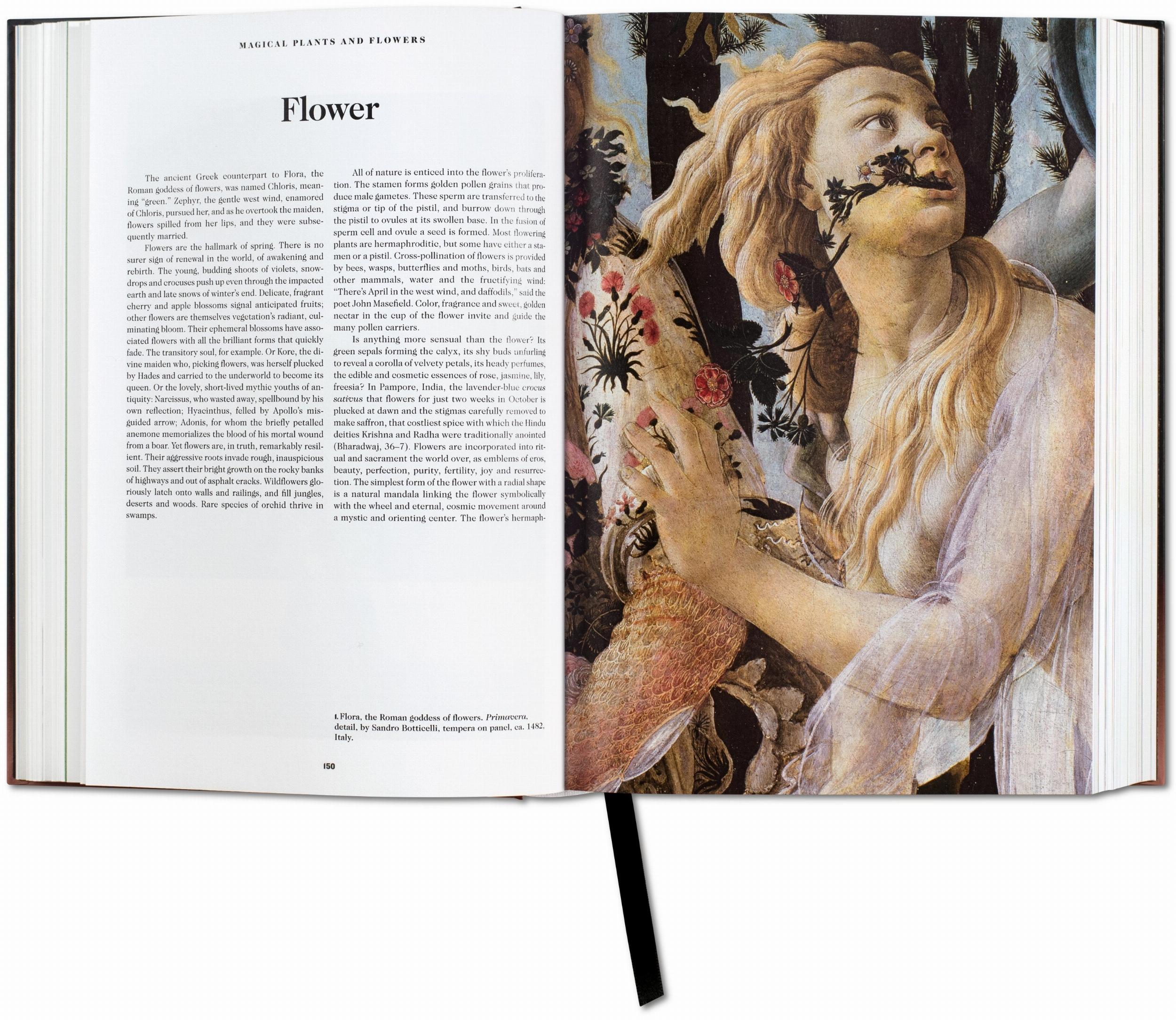 Das Buch der Symbole: Archetypische Bilder