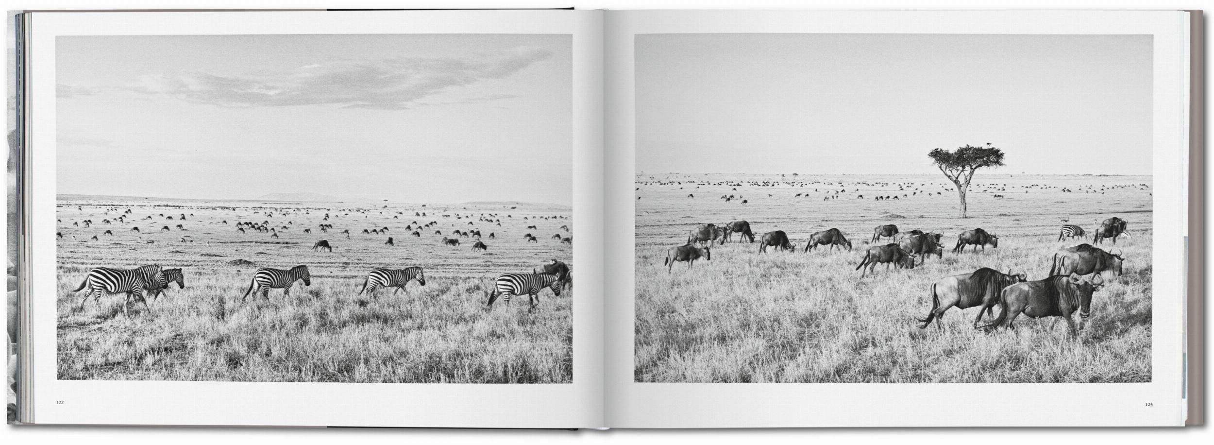 Sebastião Salgado. Africa