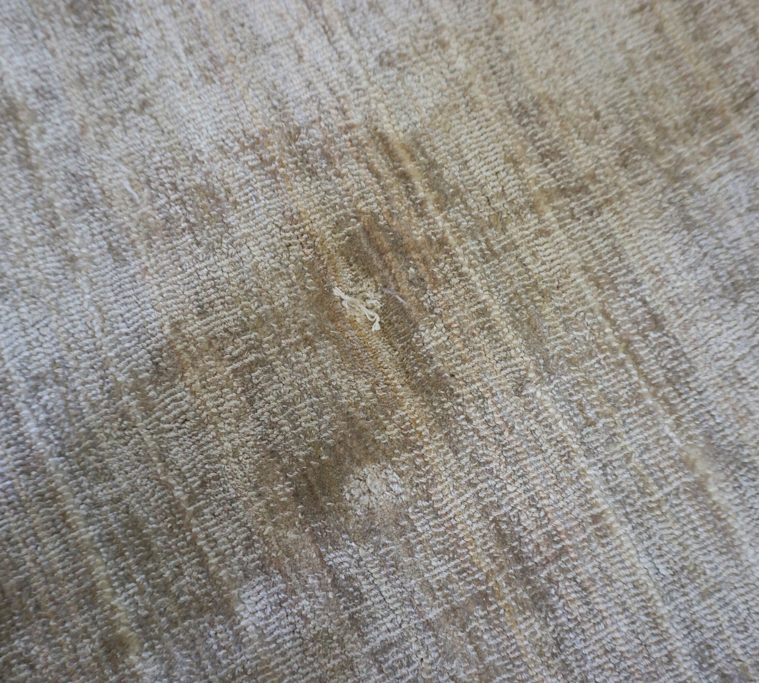 Teppich Velvet Ocean Cream 200 x 300 cm