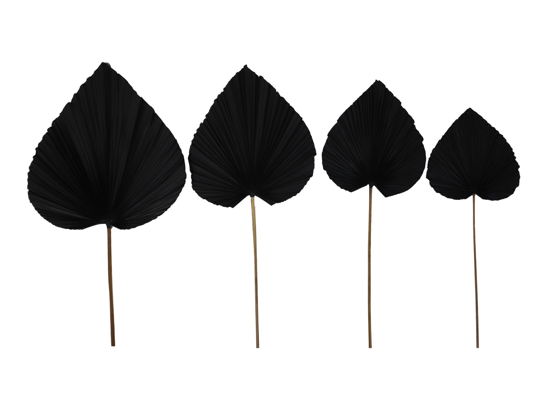 4x Dekoratives Palmblatt Schwarz