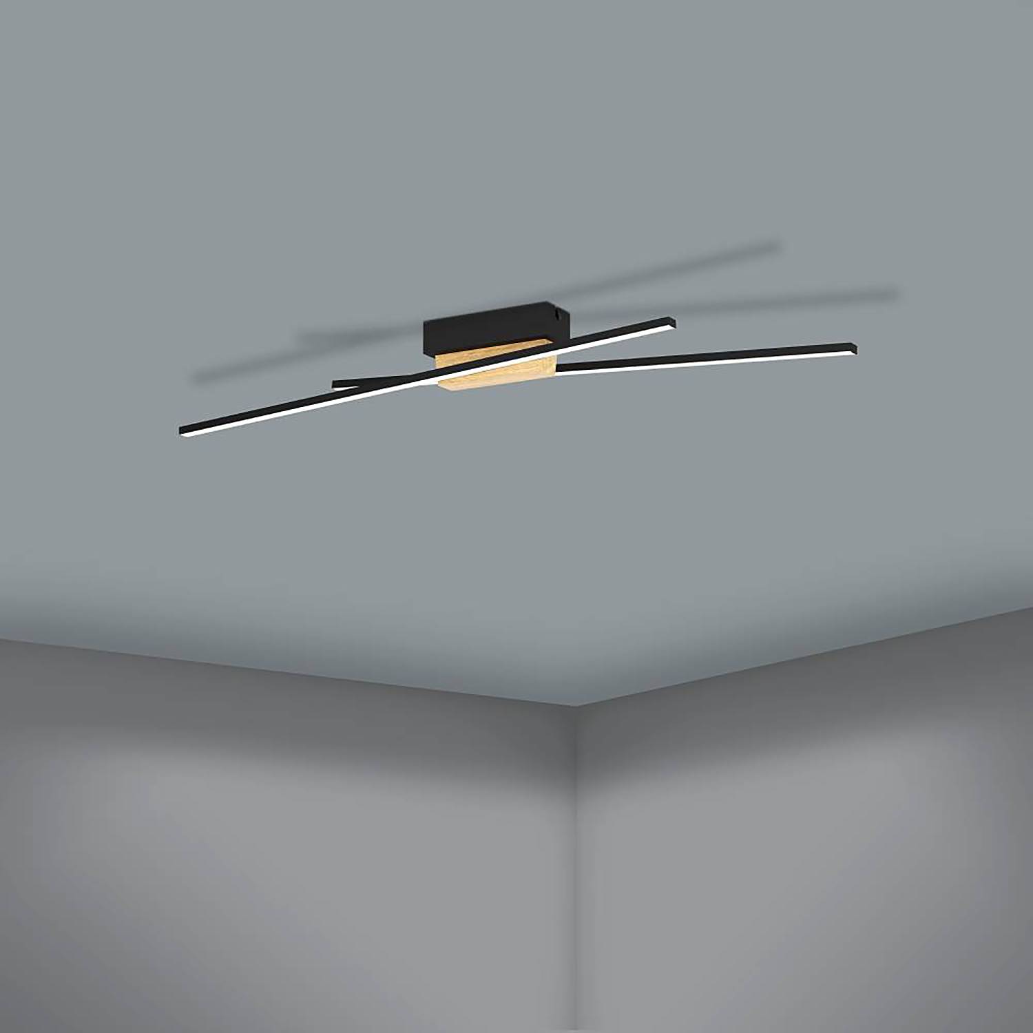 Panagria Deckenleuchte Stahl Polycarbonat 2-flammig