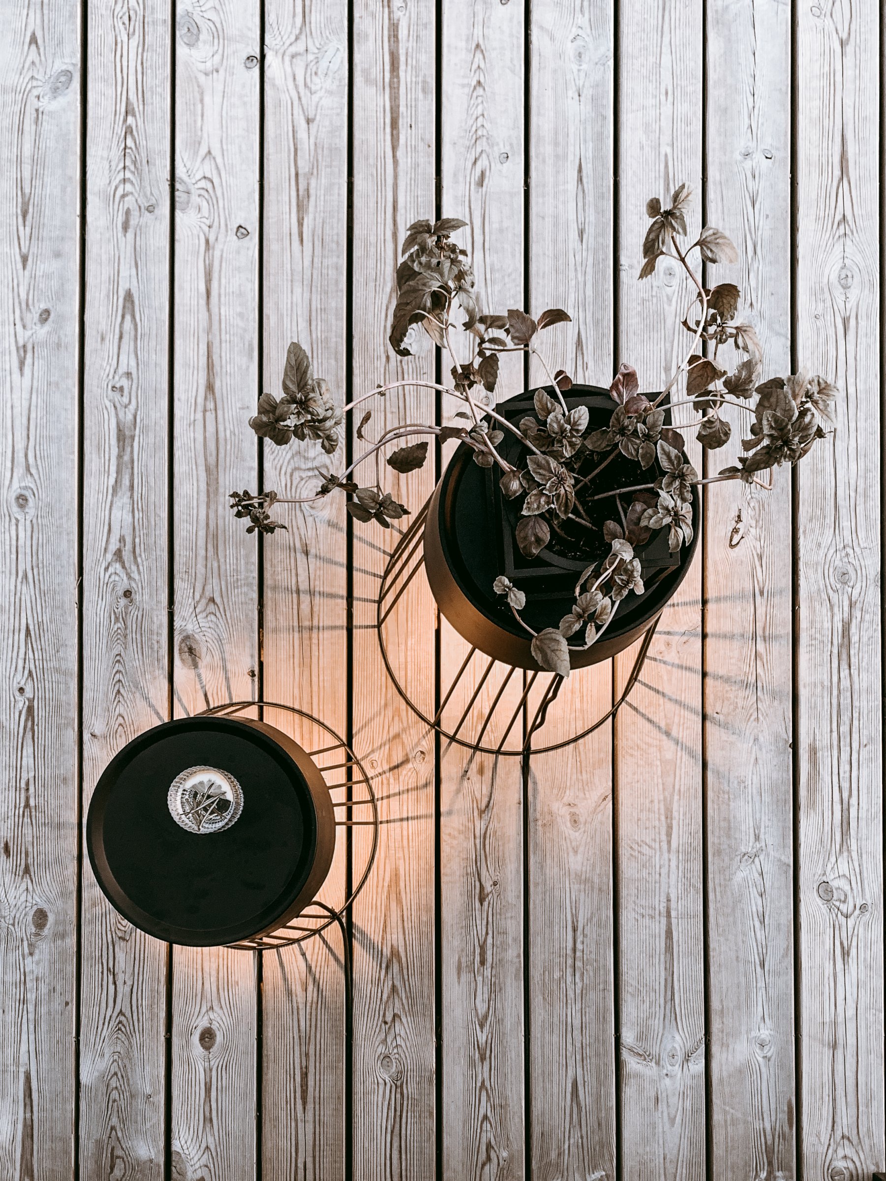 Koster 60 Floor lamp Metal Black IP44