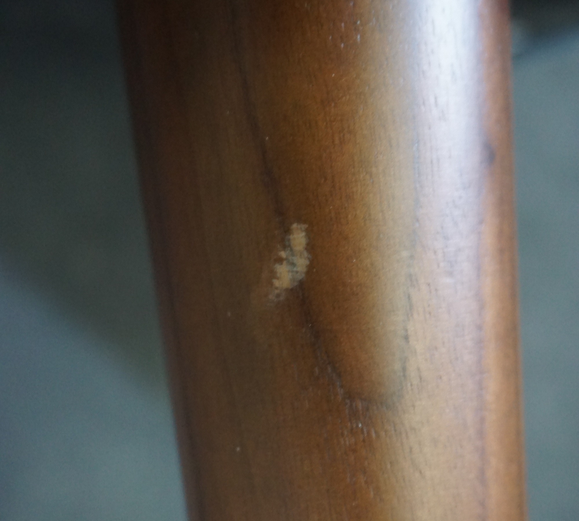 Anne Sessel Planet Legion Blue