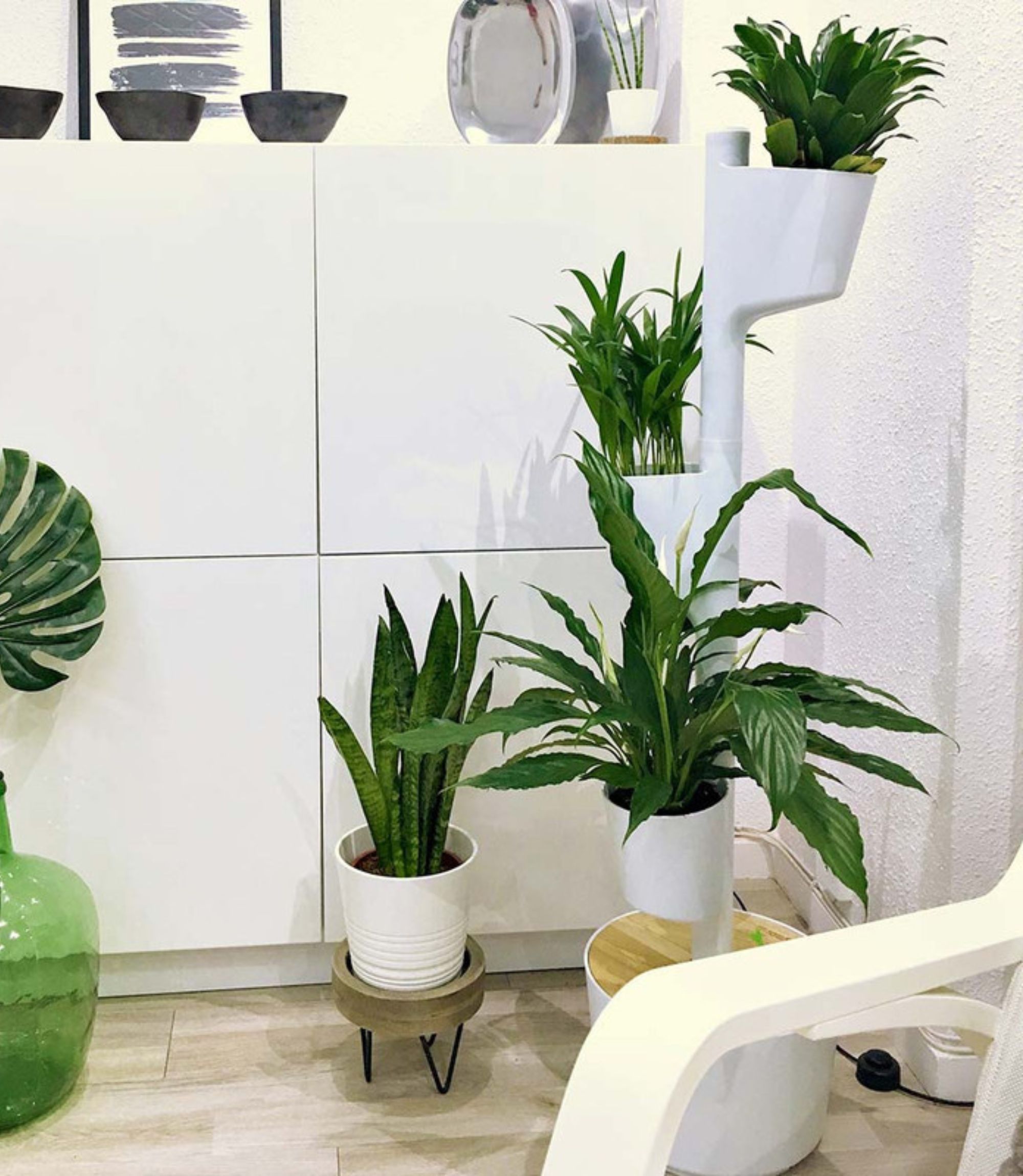 Design Award: Pine Wood White Plant System