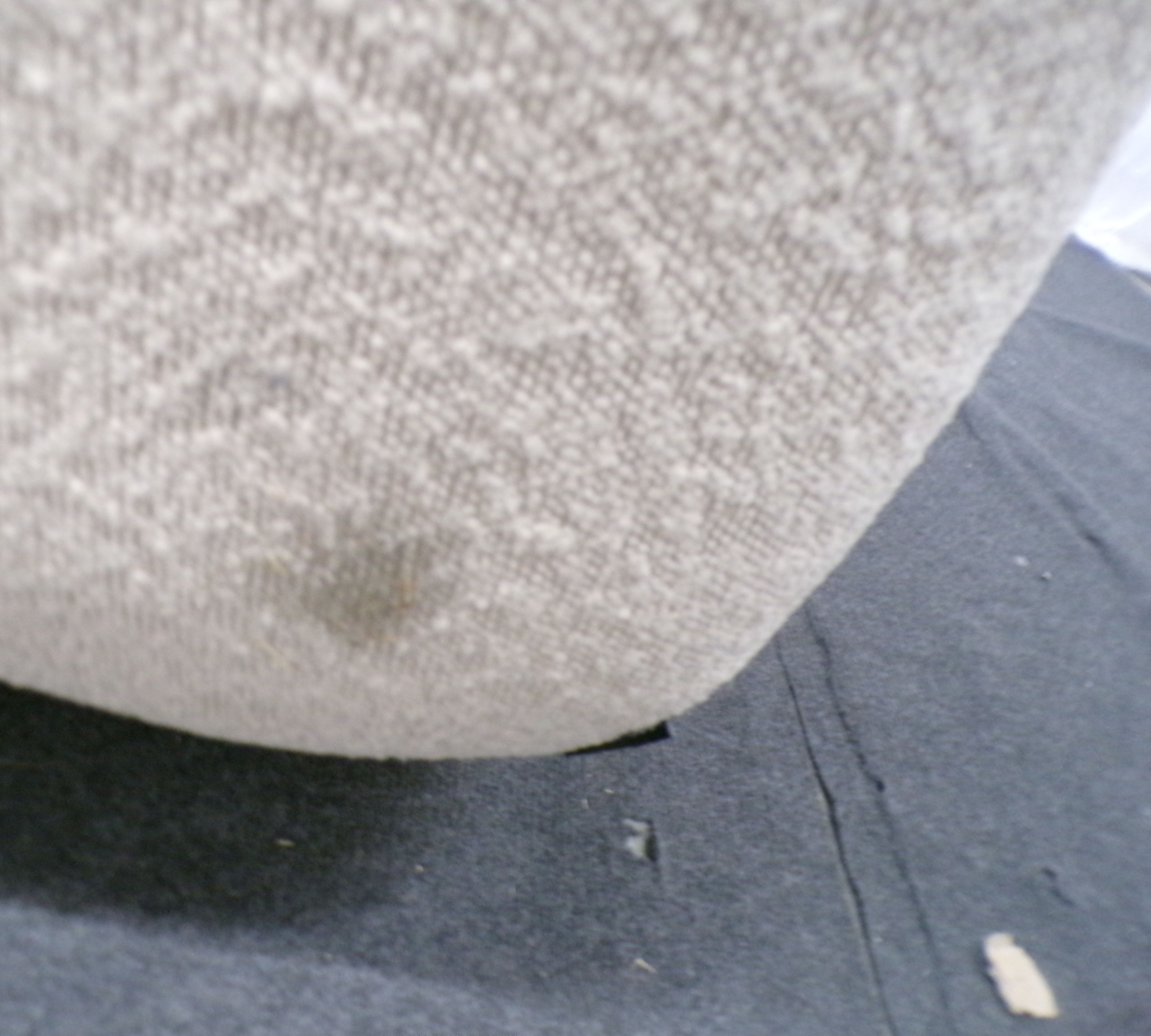 Clara Schlafsofa Pasha Dune