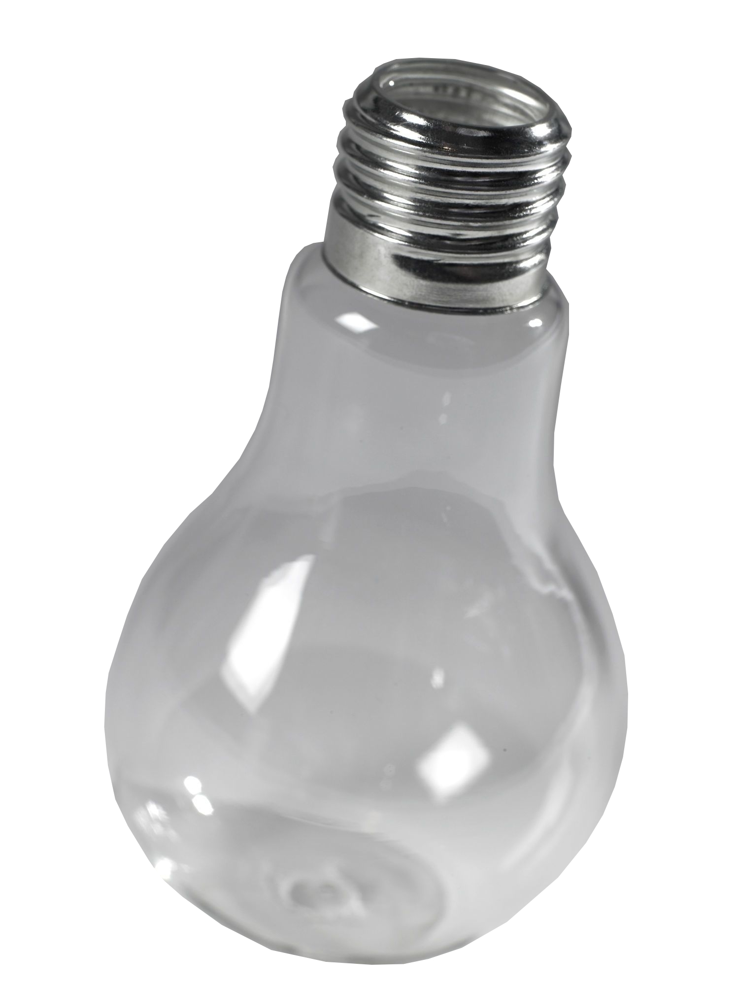 Lightbulb Vase Transparent