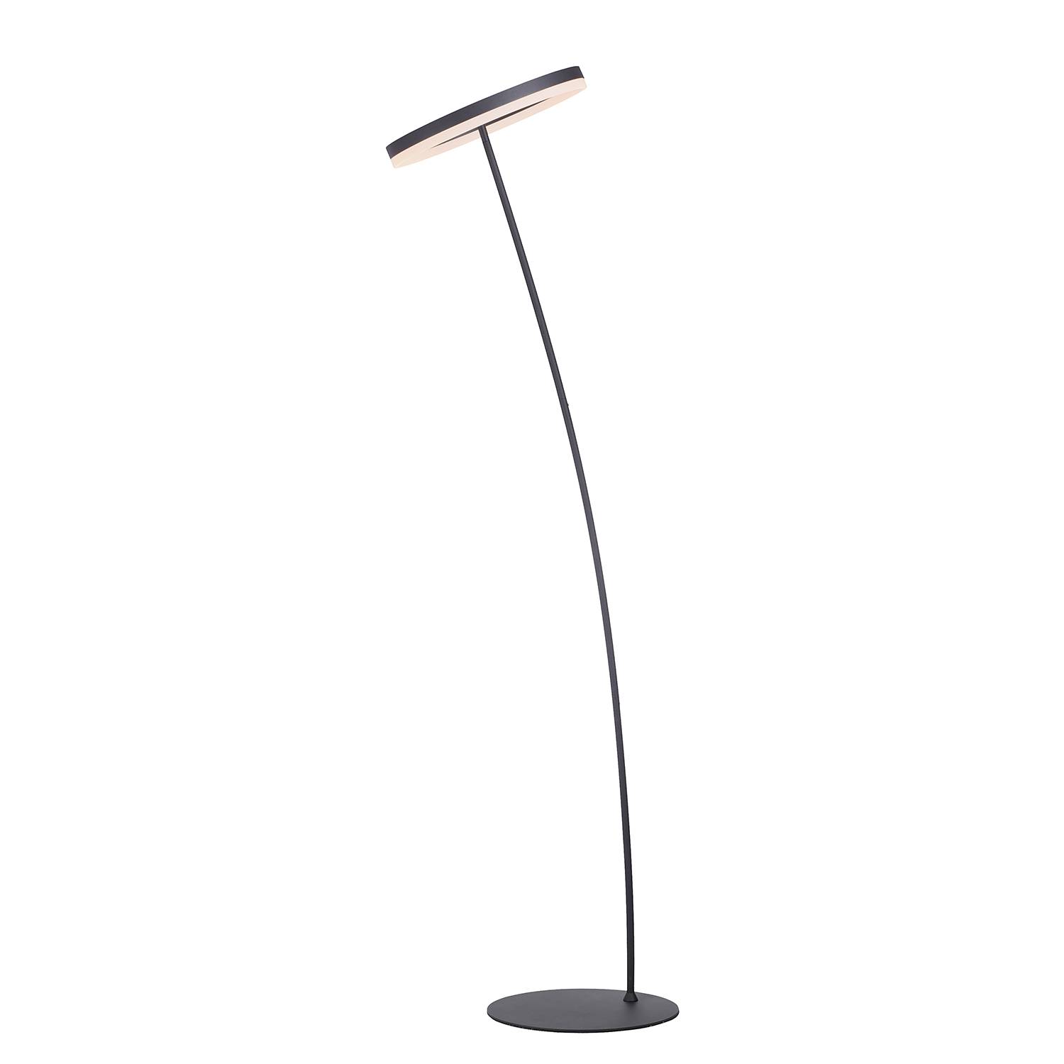 LED-Stehleuchte Titus Acrylglas Eisen