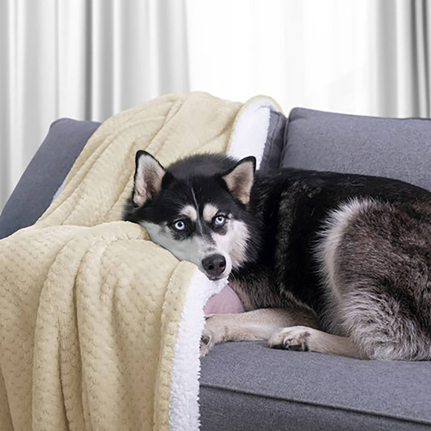 Leepy Kuscheldecke Polyester Beige 220 x 240 cm