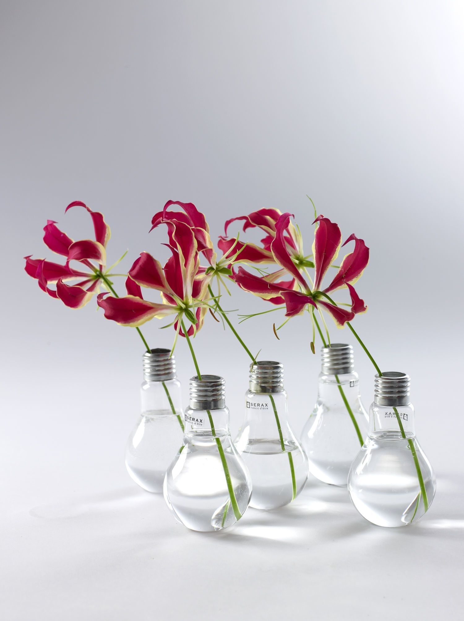 Lightbulb Vase Transparent