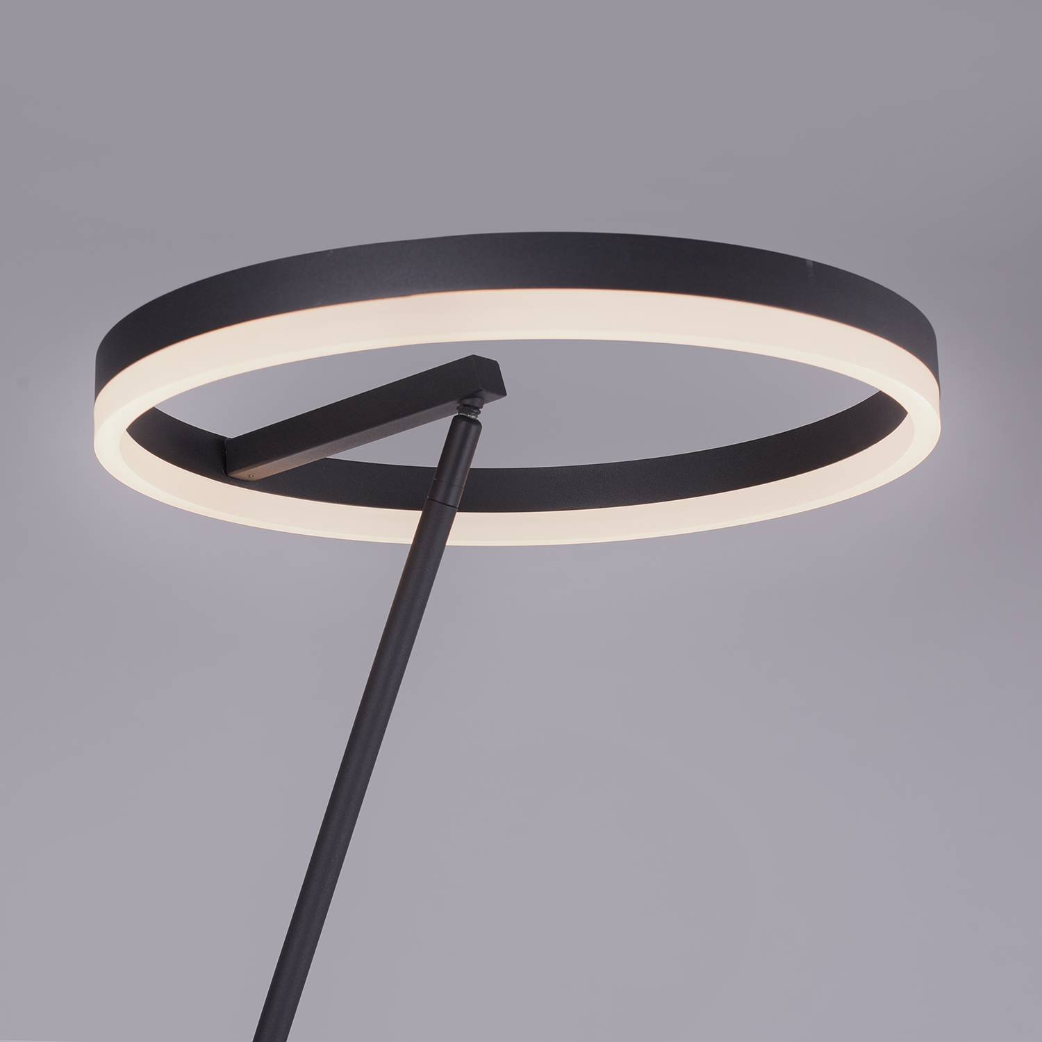 LED-Stehleuchte Titus Acrylglas Eisen