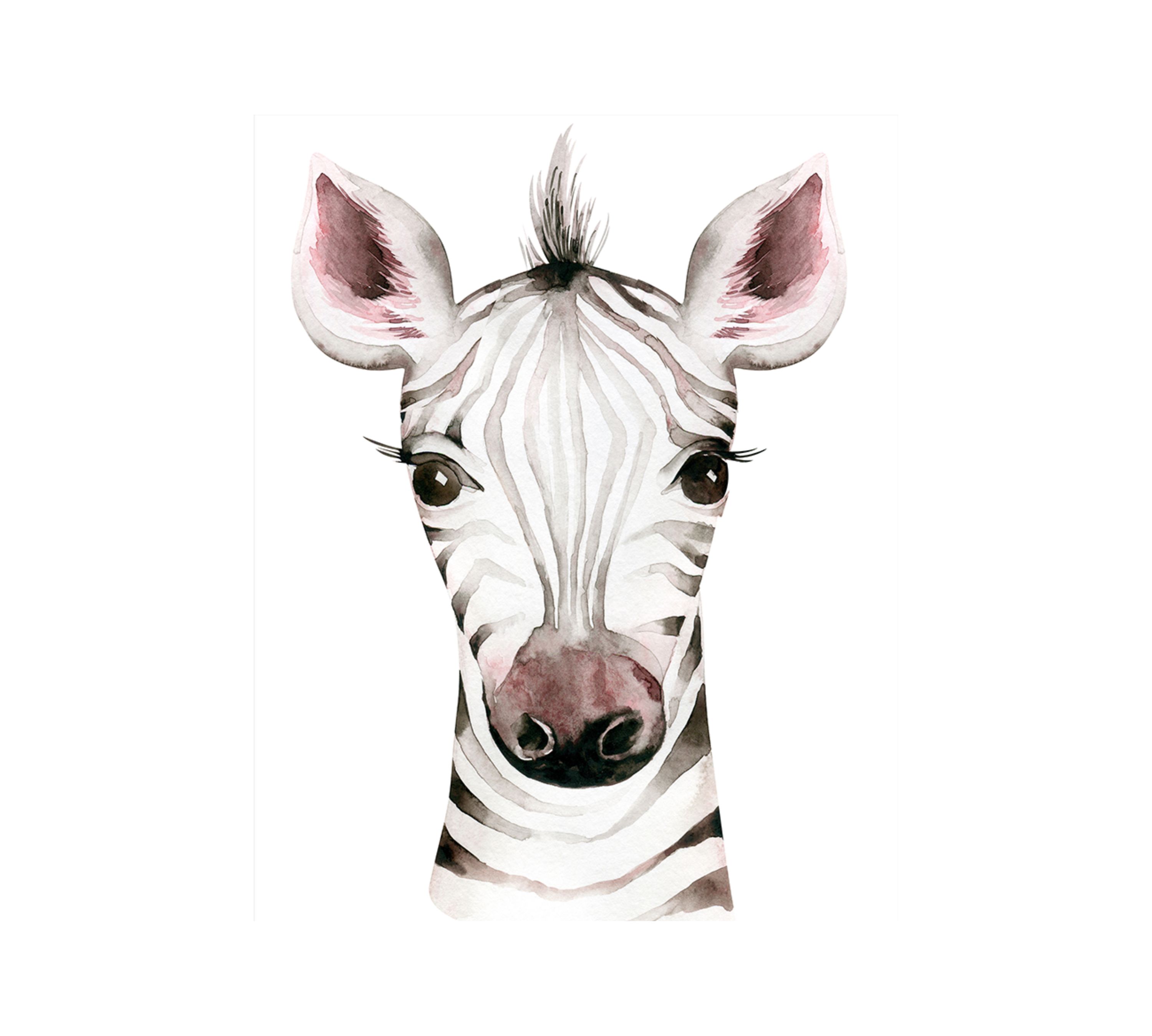 Zebra Kunstdruck mit Rahmen Mehrfarbig