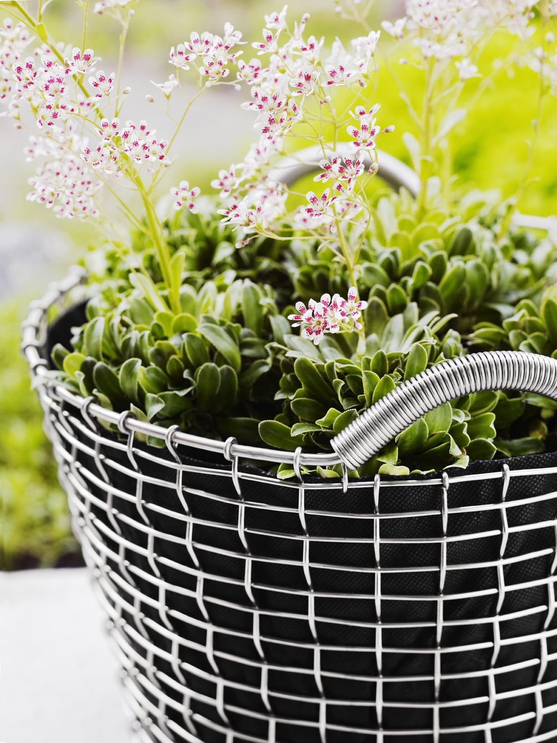 Classic 24 Korb Edelstahl Silber