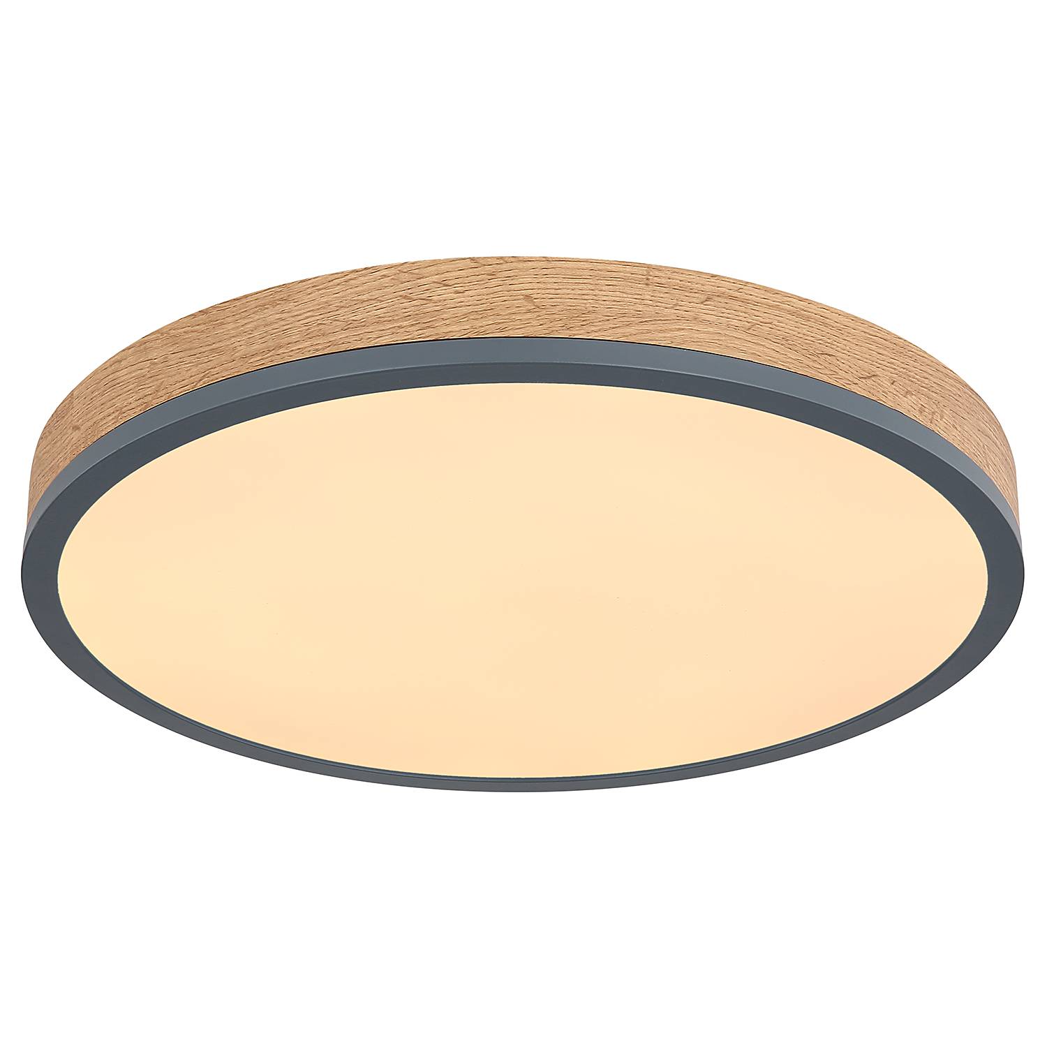 1-Flammig LED-Deckenleuchte Doro Typ E Acrylglas Eisen