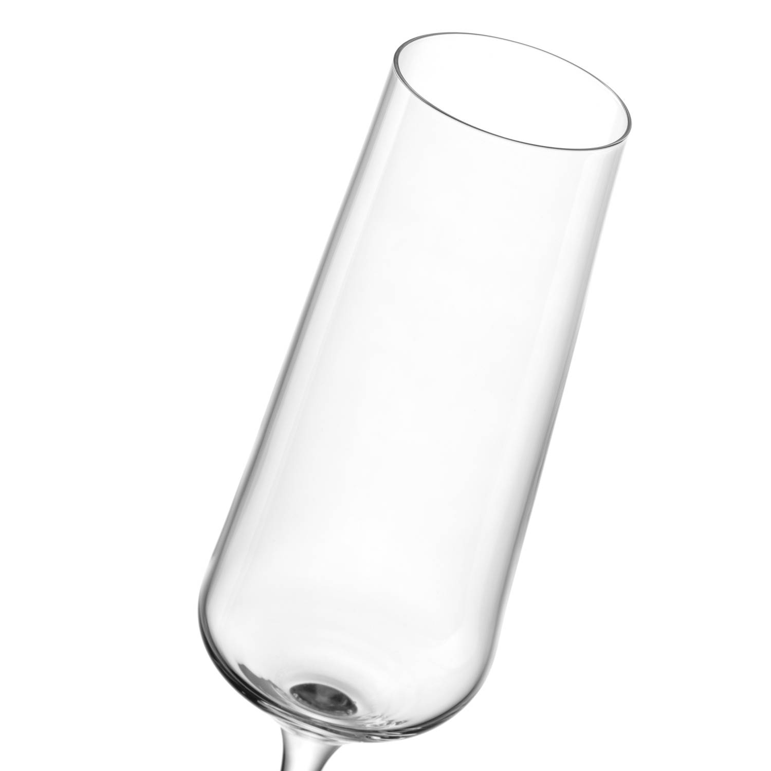 6x Paladino Sektglas Kristallglas Transparent