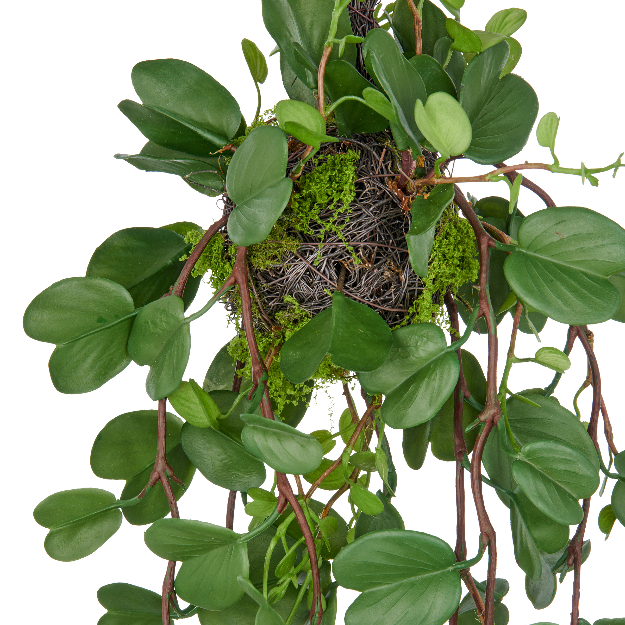 Artificial plant Bauhinia TypeB Polyethylene Green Black