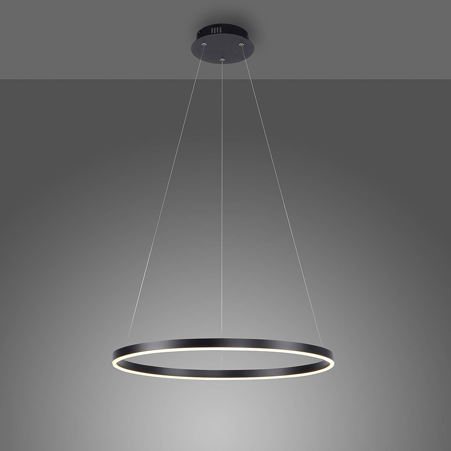 1-Flame LED pendant lamp Ritus Type B Aluminium Black