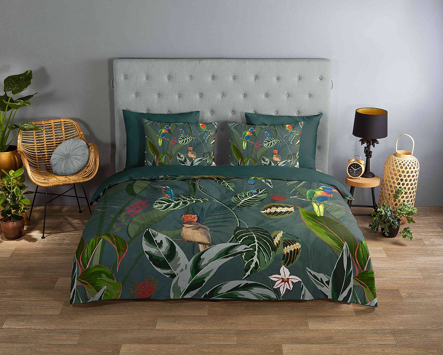 Charlotte Bettwäsche Baumwolle 200/220x240cm 2 Kissen 70x40cm