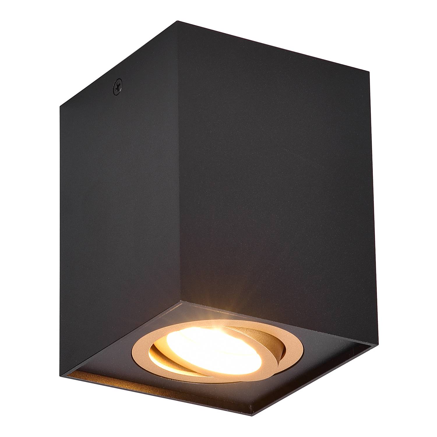 Deckenleuchte Biscuit Eisen 1-flammig Schwarz