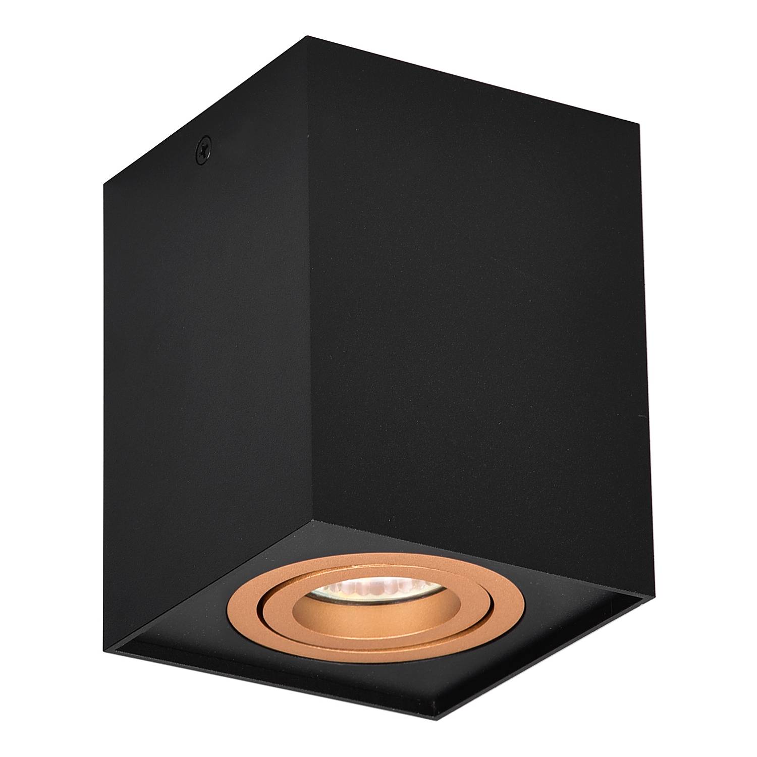 Deckenleuchte Biscuit Eisen 1-flammig Schwarz