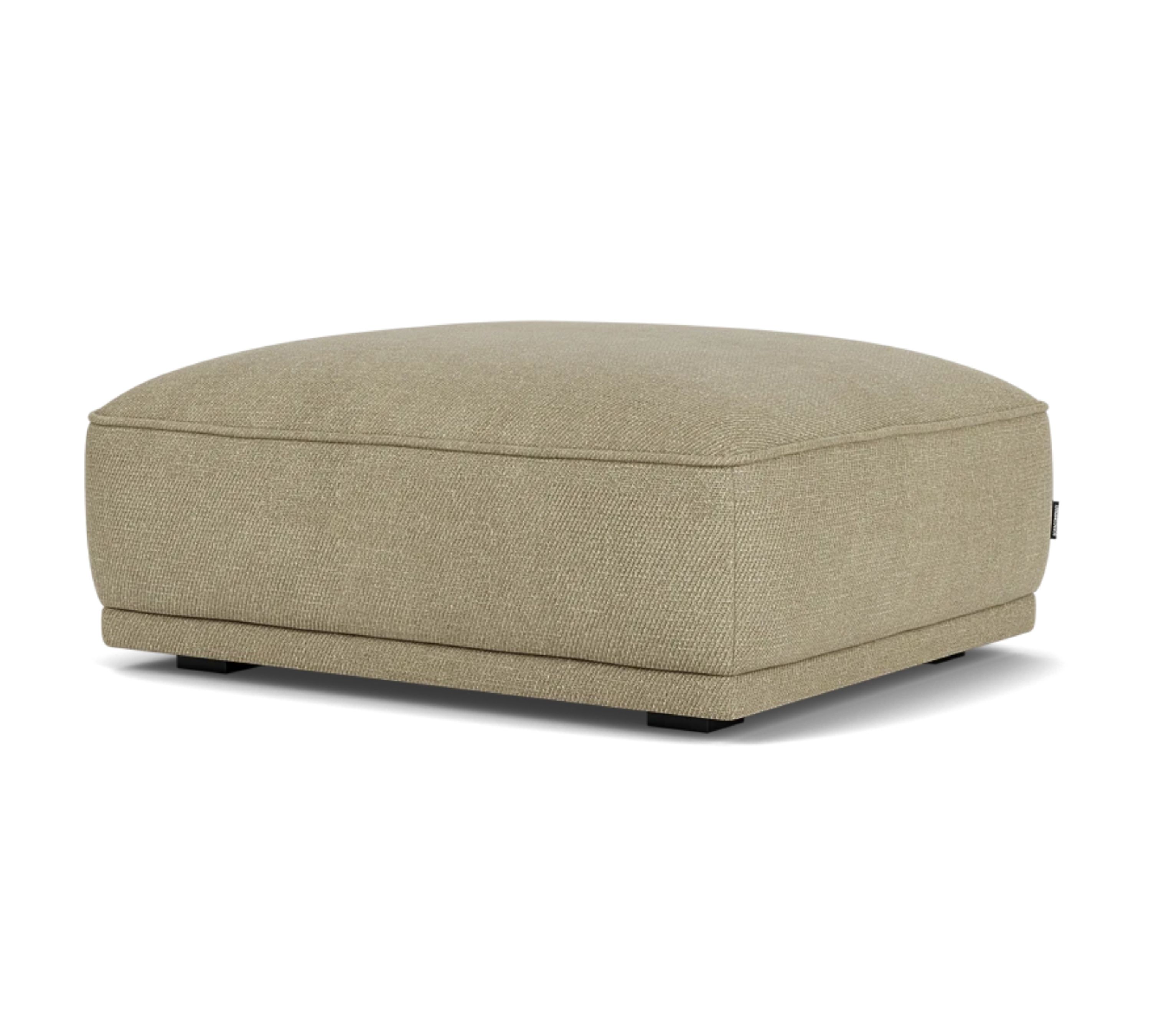 Leonora Hocker
Moonlight
Lark