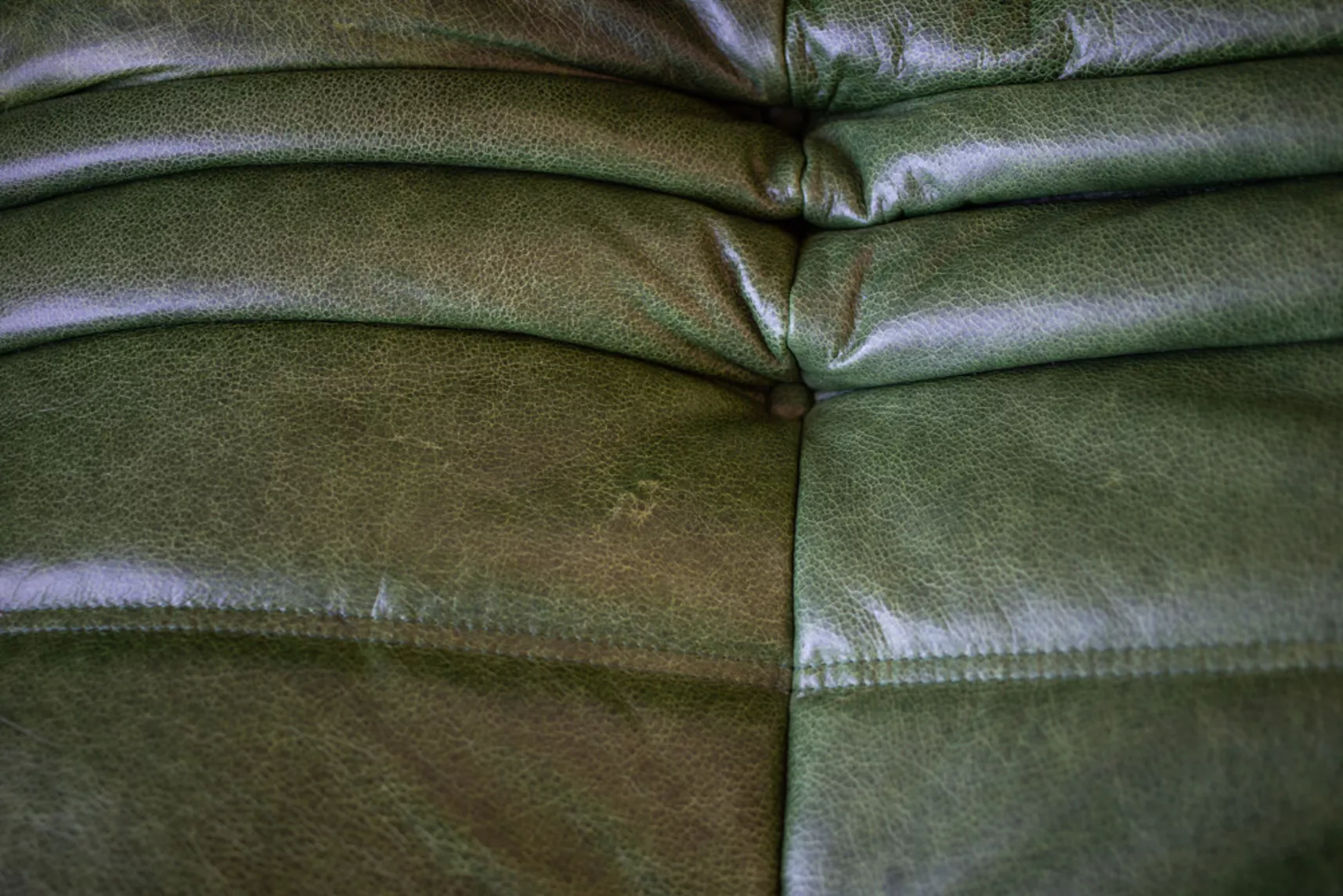 Togo Sofa 2-Seater Pull-Up Leather Green