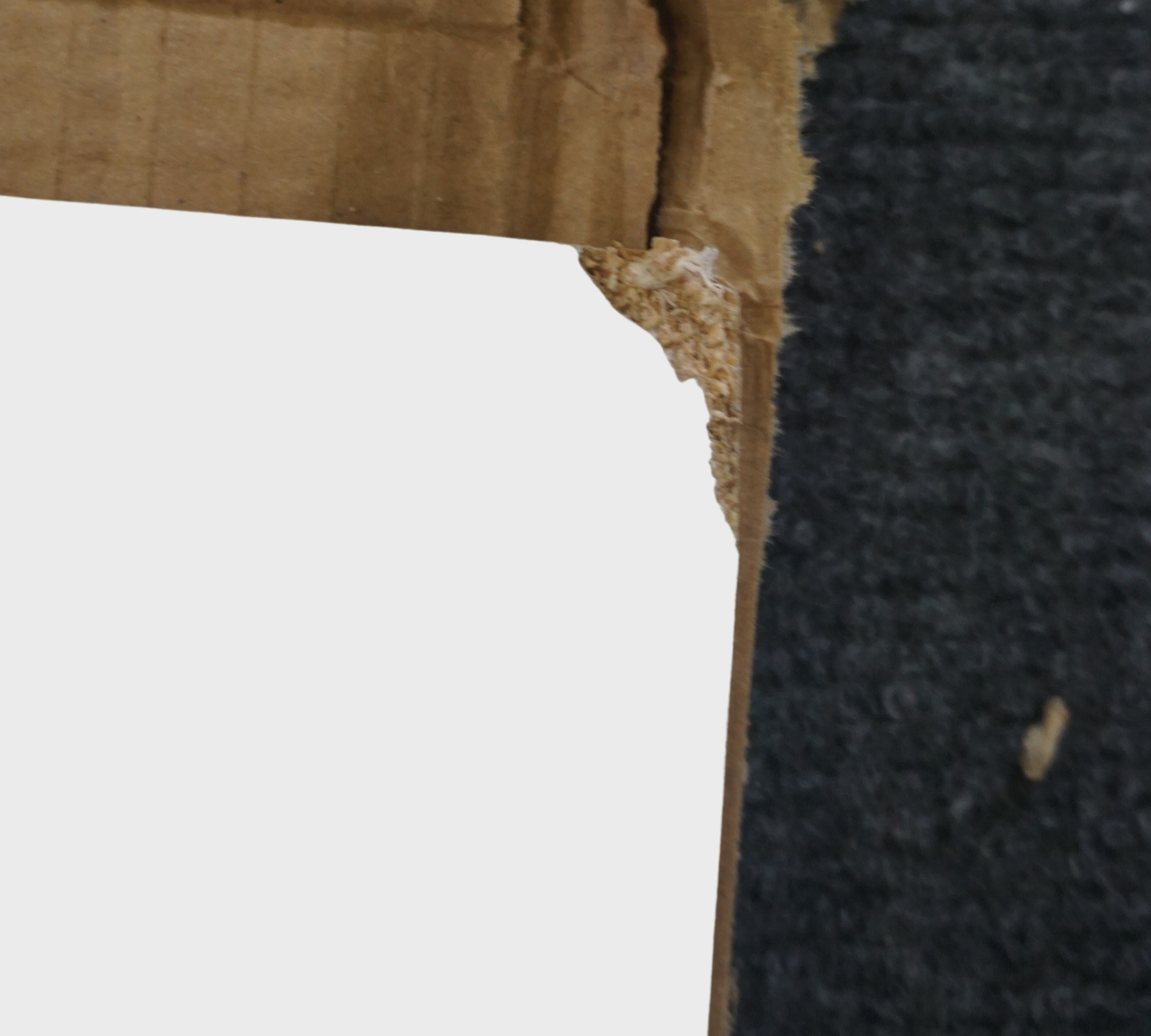 Filinta Shoe cabinet Wood veneer Sonoma oak brown