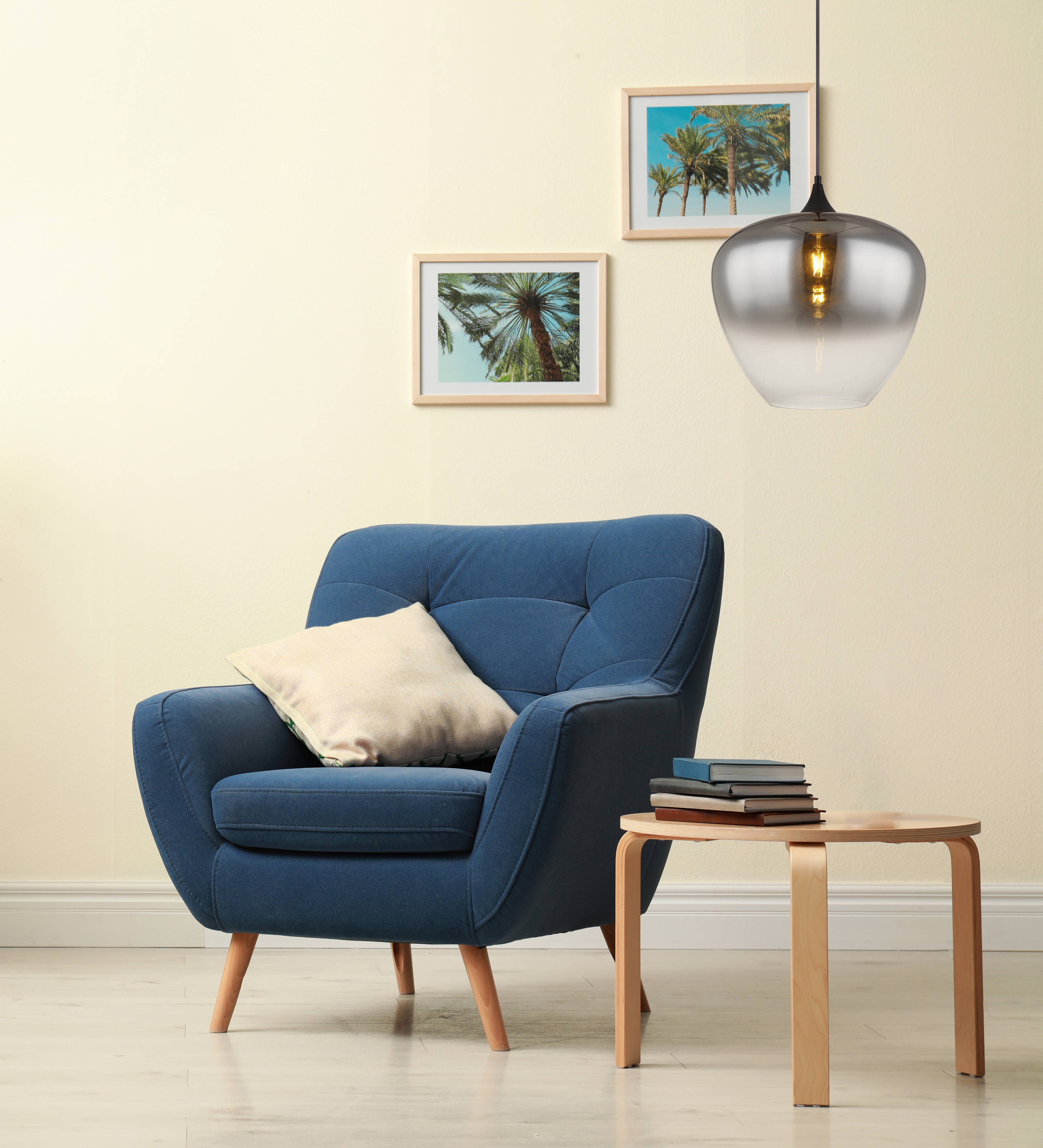 1-Light Maxy Type Pendant Light Smoked Glass Iron