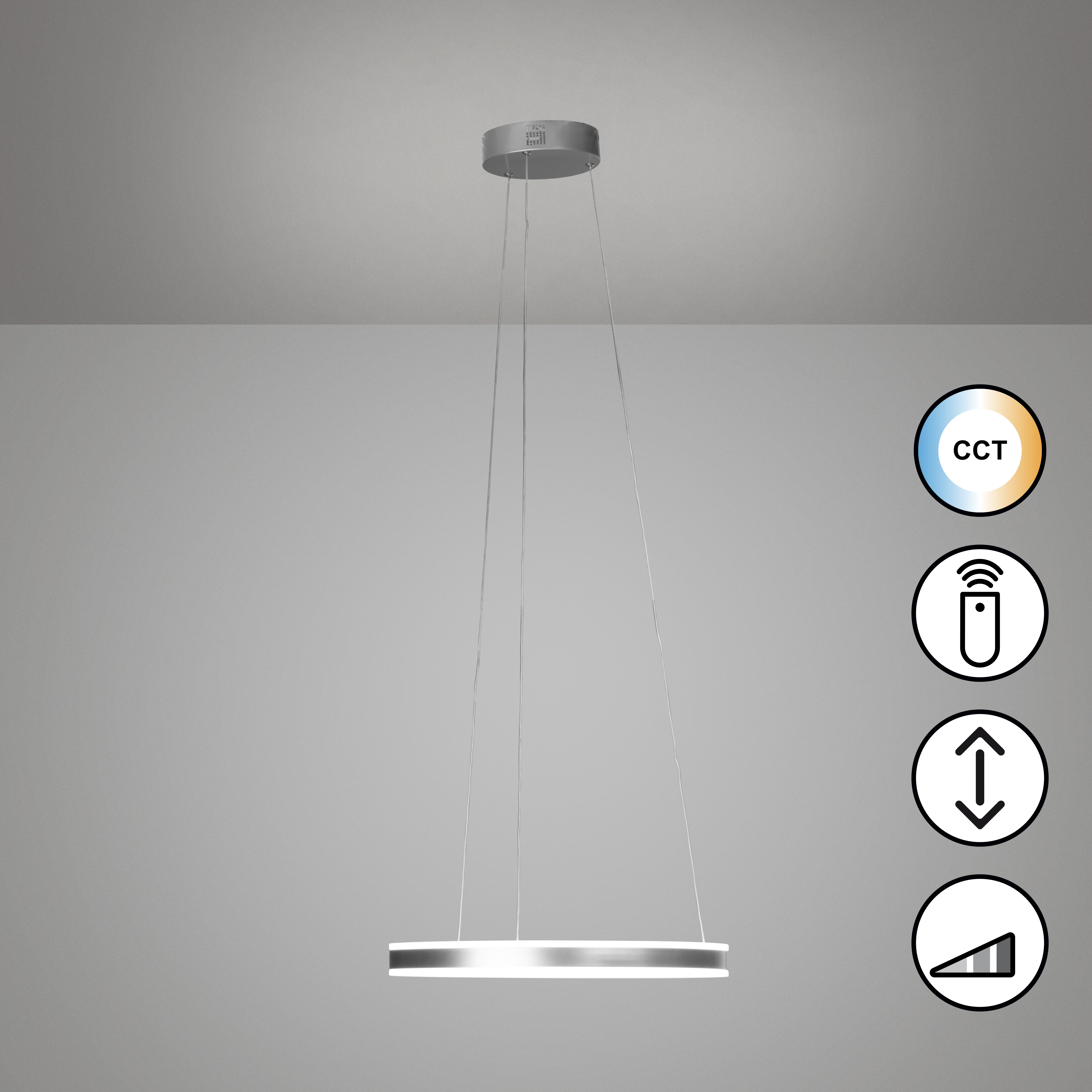 Sirko Typ A LED-Pendelleuchte 1-flammig Eisen 