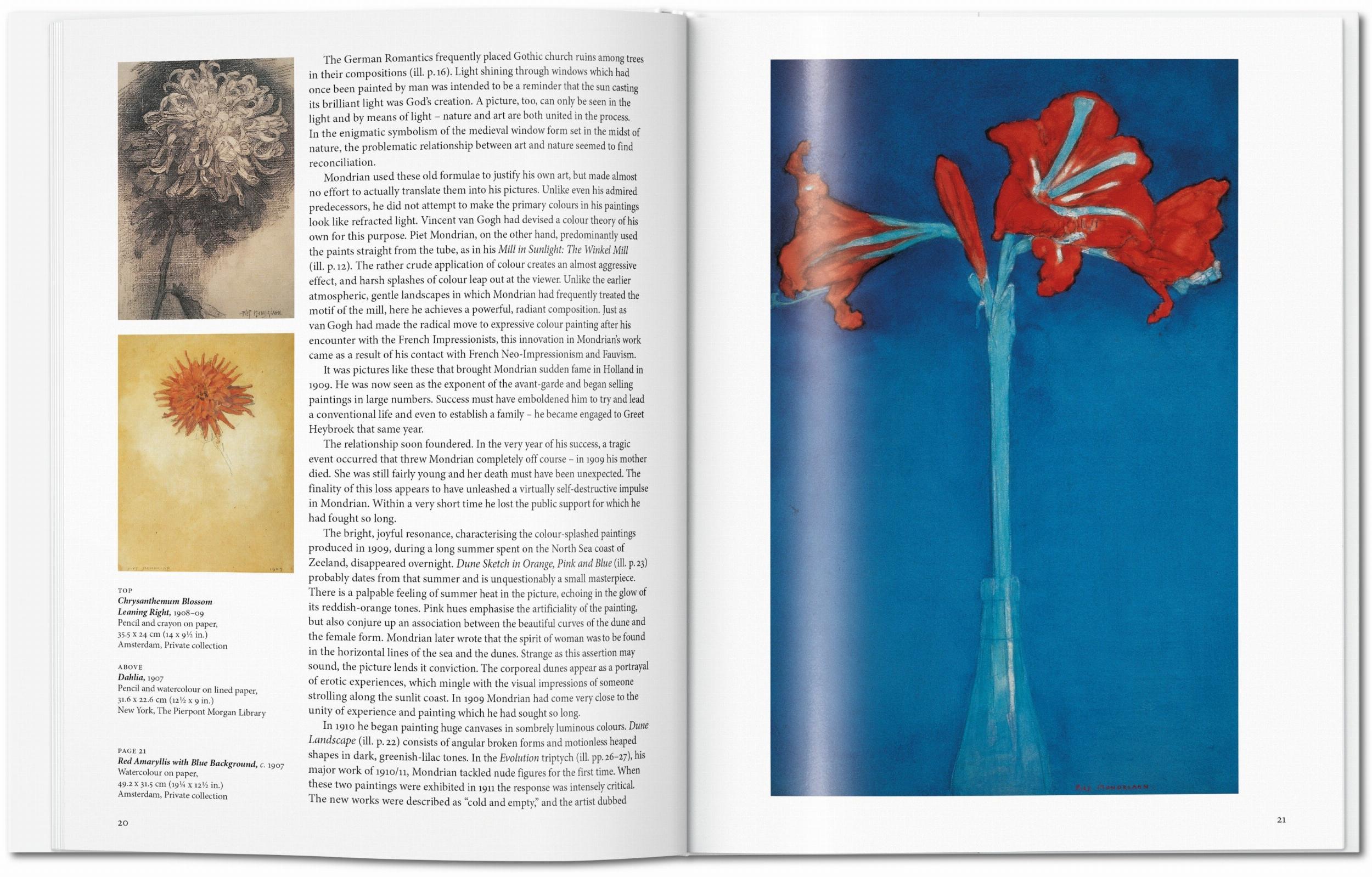 Mondrian Buch