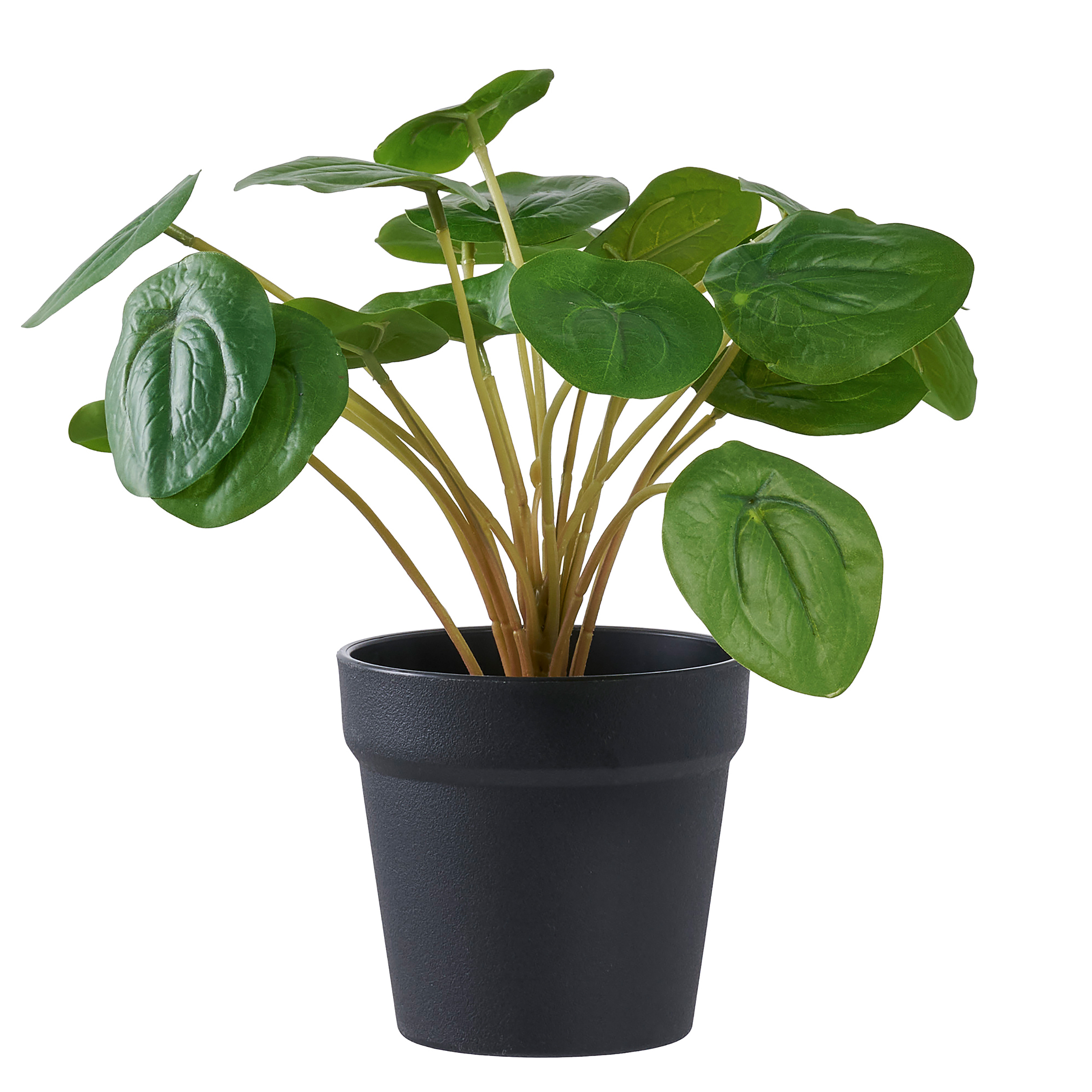 Kunstpflanze Pelia Grün Polyethylen 28 x 28 x 28 cm