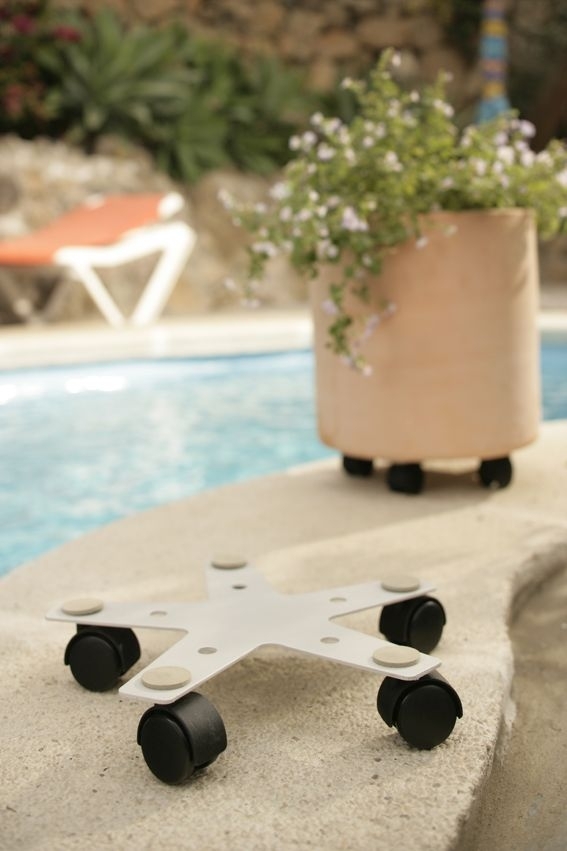 Star 40 Pflanzenroller Grau